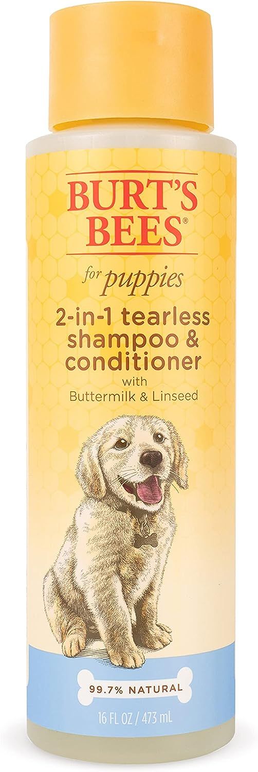 Shampoo