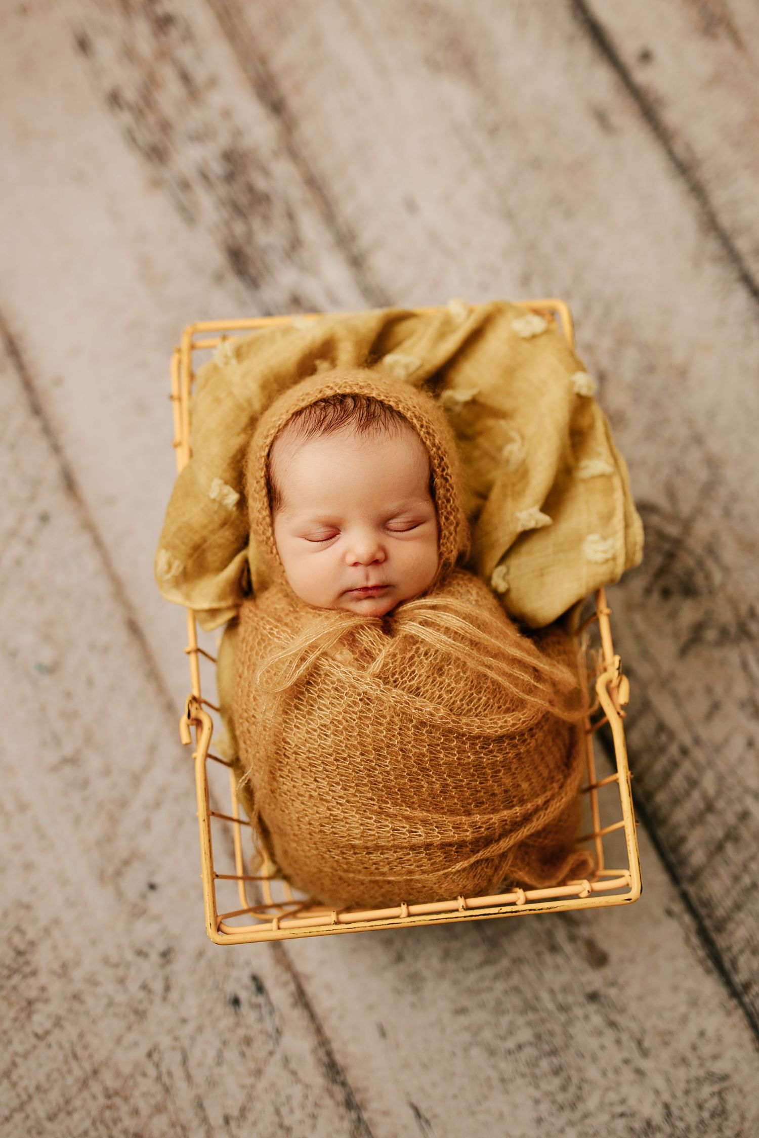Harrisburg PA Newborn Photographer