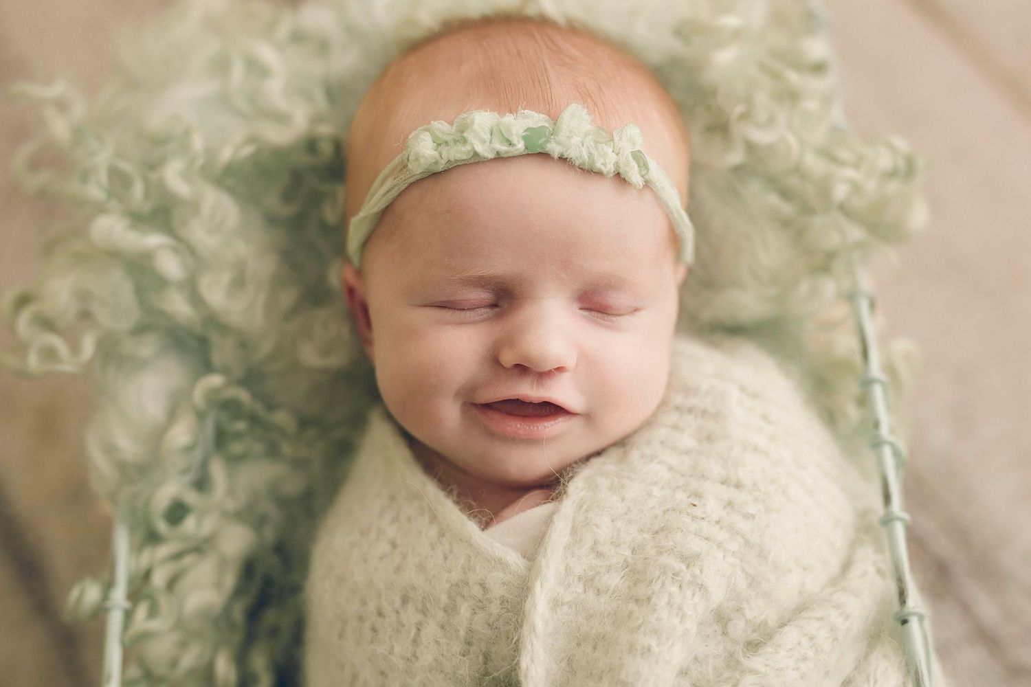 Camp Hill PA Newborn Photographer