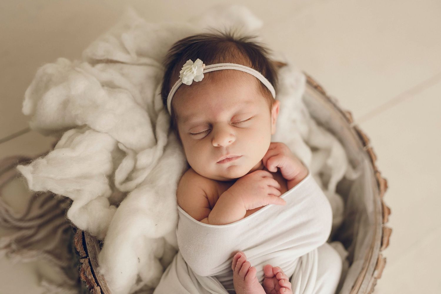 Camp Hill PA Newborn Photographer