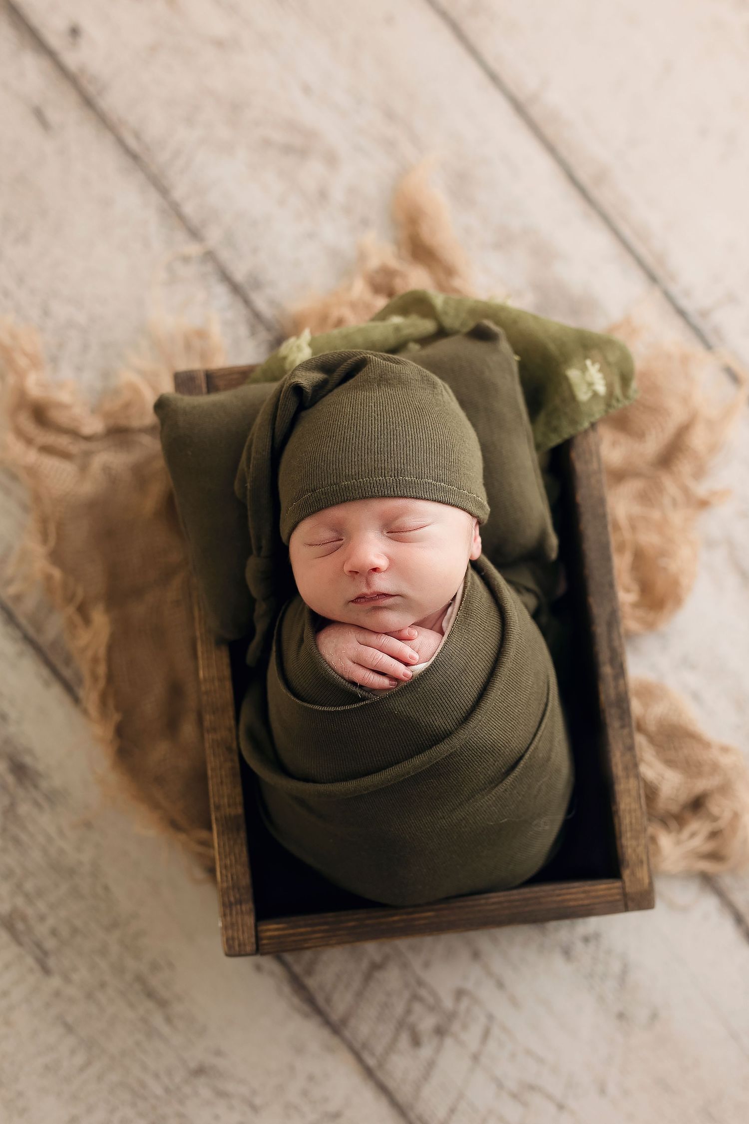 Camp Hill PA Newborn Photographer