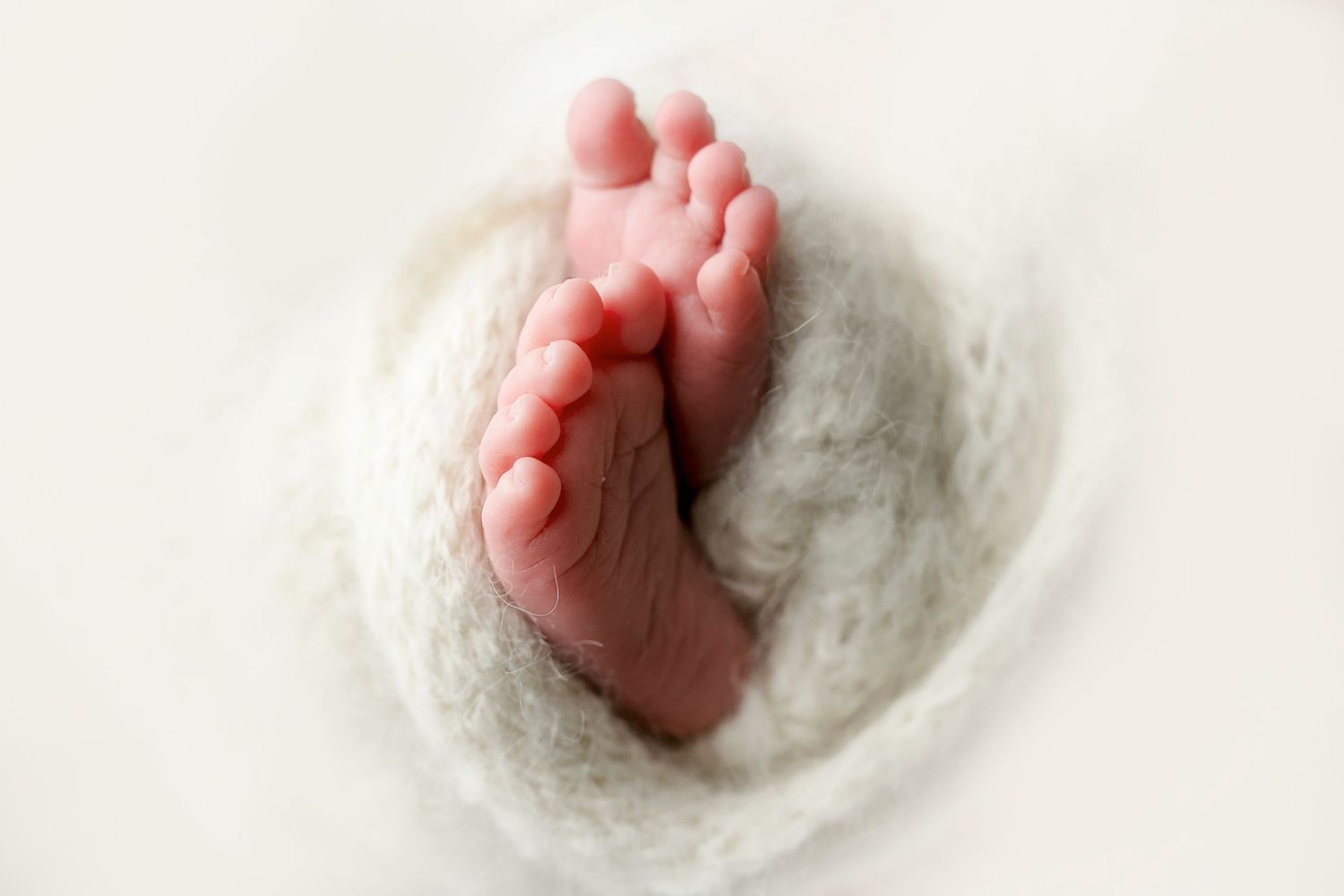 Camp Hill PA Newborn Photographer