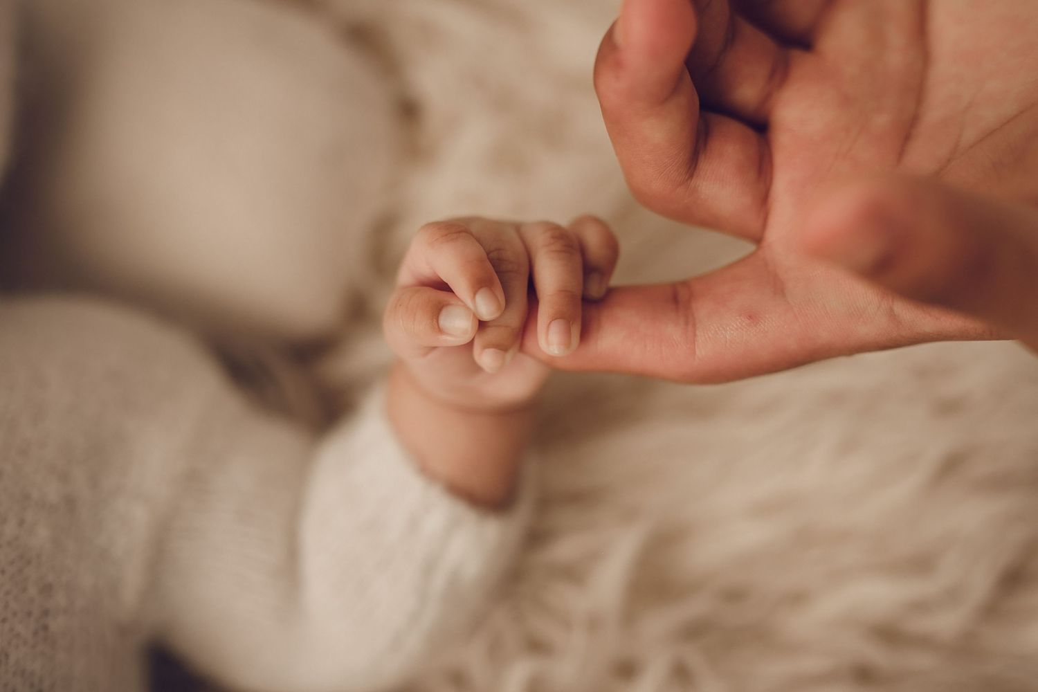 Harrisburg PA Newborn Photography || Dana Carvell Photography