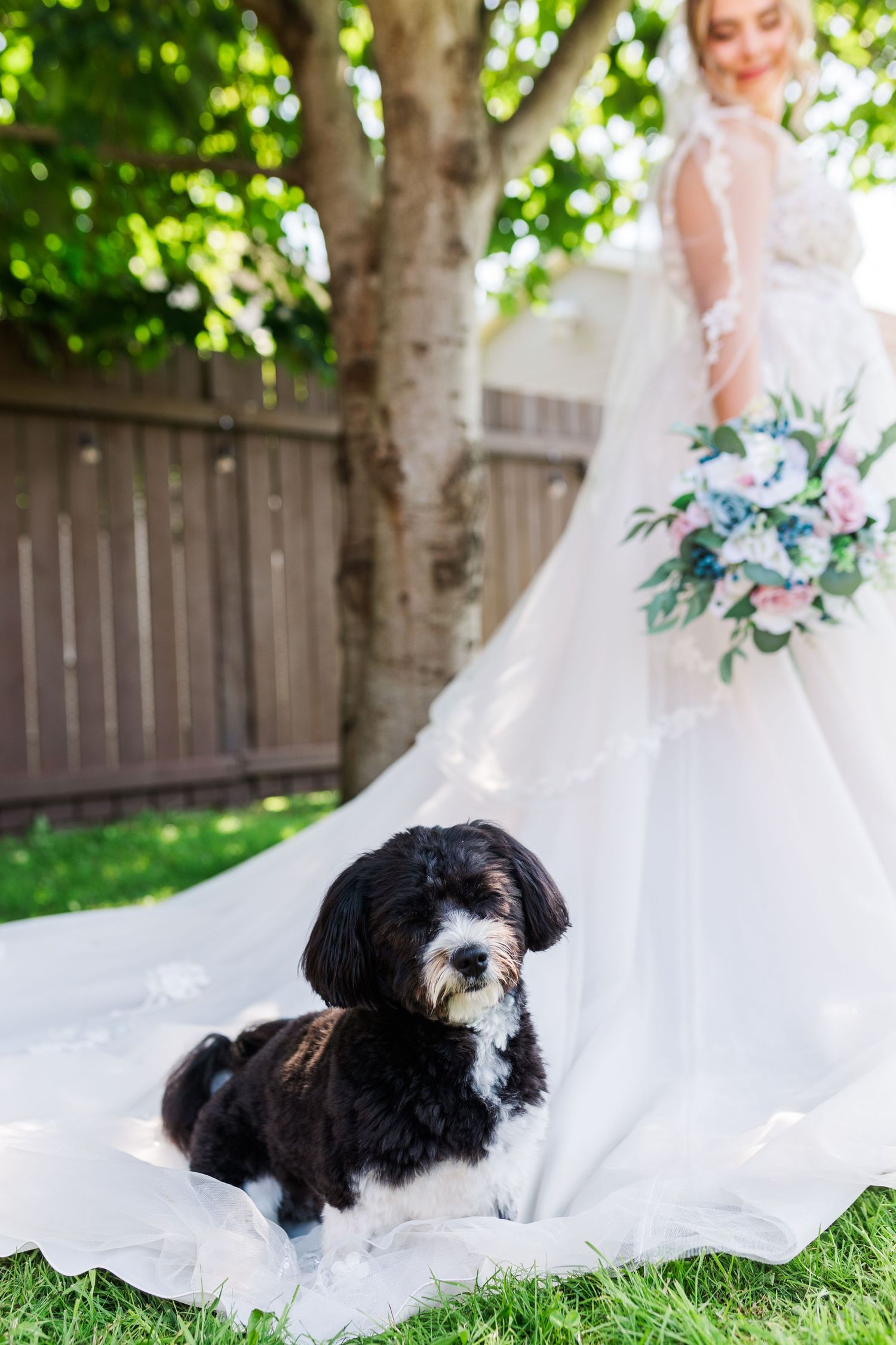 Elegant bridal portrait in garden setting with black and white dog resting on dress train.