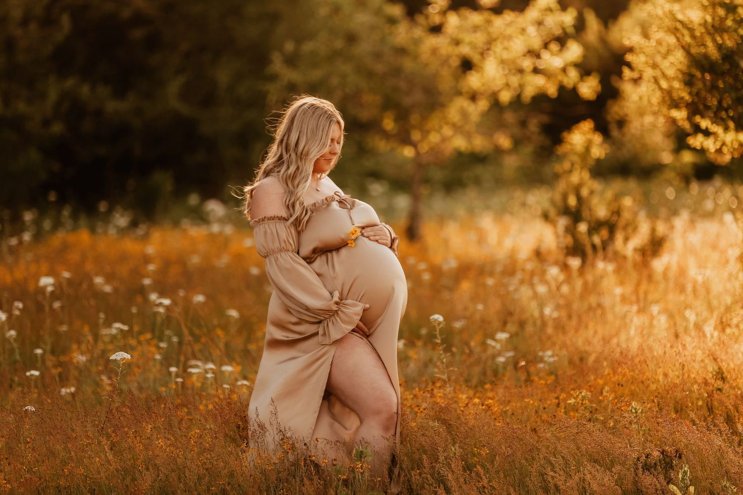 A series of warm autumn-toned maternity photos showing a woman in a flowing beige dress standing in a golden field at sunset.
