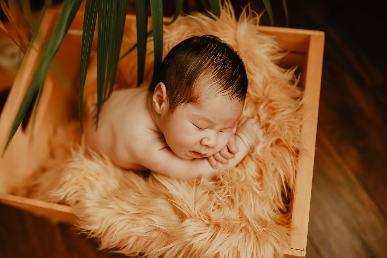 Newborn baby sleeping peacefully on soft fur blanket in warm sepia tones.