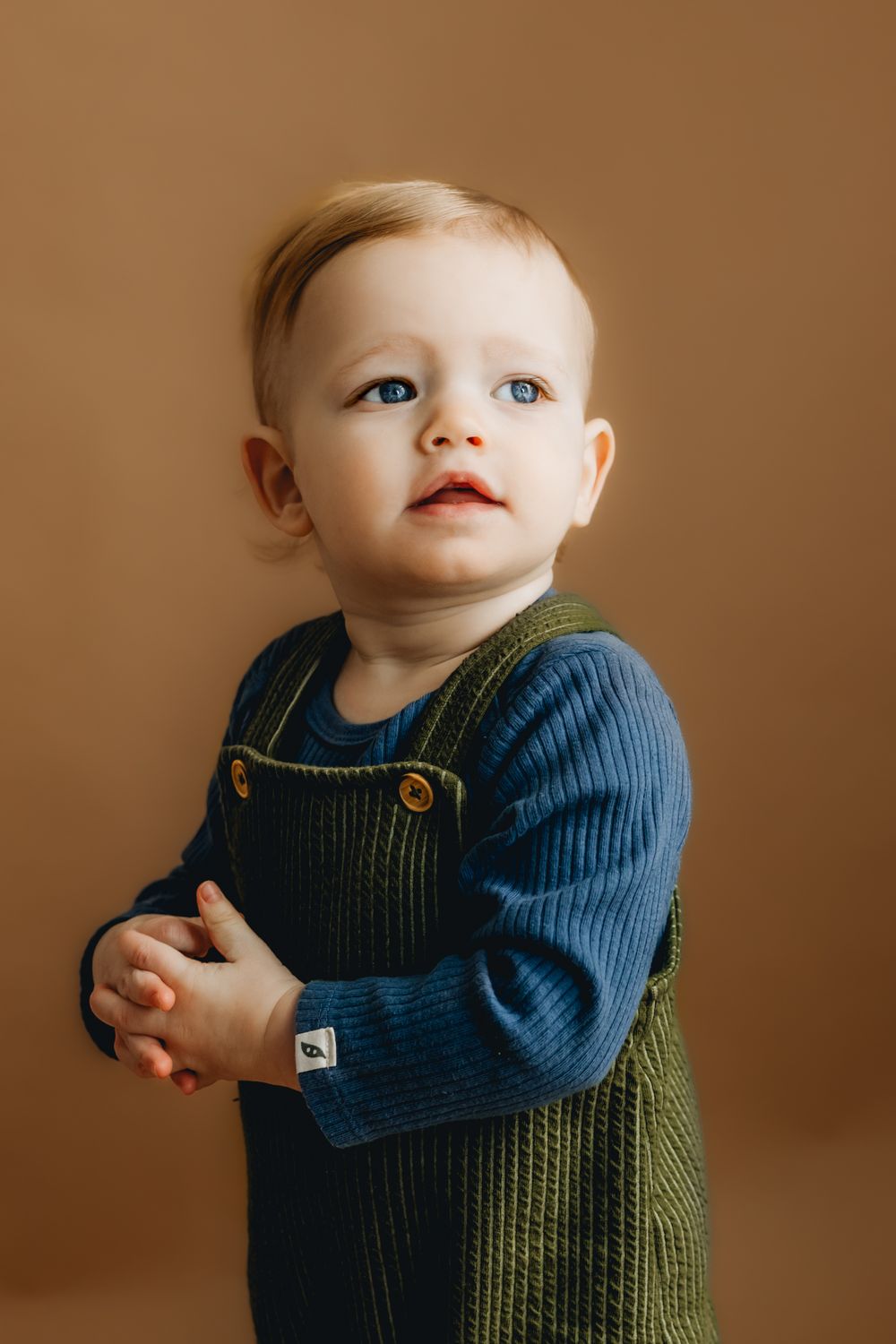 Toddler wearing blue sweater and green overalls poses against brown backdrop in studio portrait.