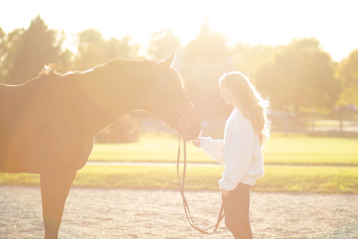 Madison Collier, Thomet Stables, Ada, Michigan