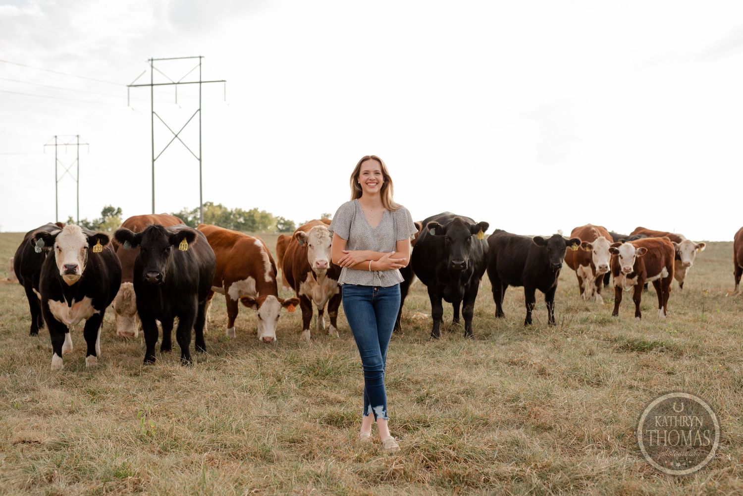 Person in gray shirt walking through field with large herd of beef cattle.