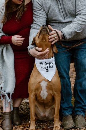 Halifax Maternity Session, Halifax Photographer, Maternity Photography, Nova Scotia Photographer