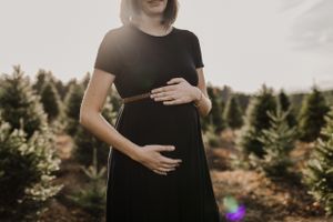 Sunset maternity session at Kevin Veinotte's U-Cut Christmas Tree farm in Bridgewater, Nova Scotia