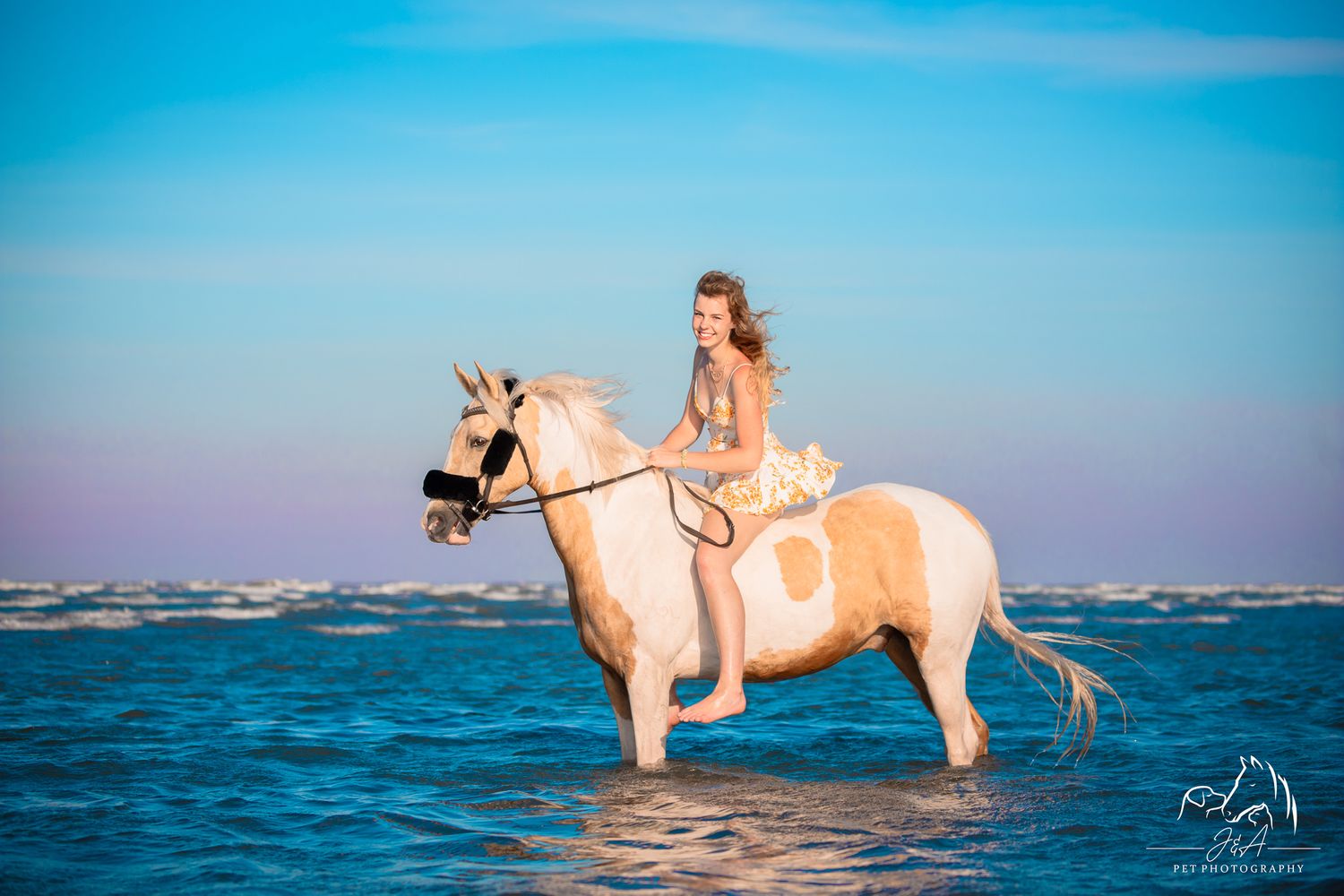 Girl sitting bareback on a Palomino and white patched horse in knee deep water at the beach at twilight