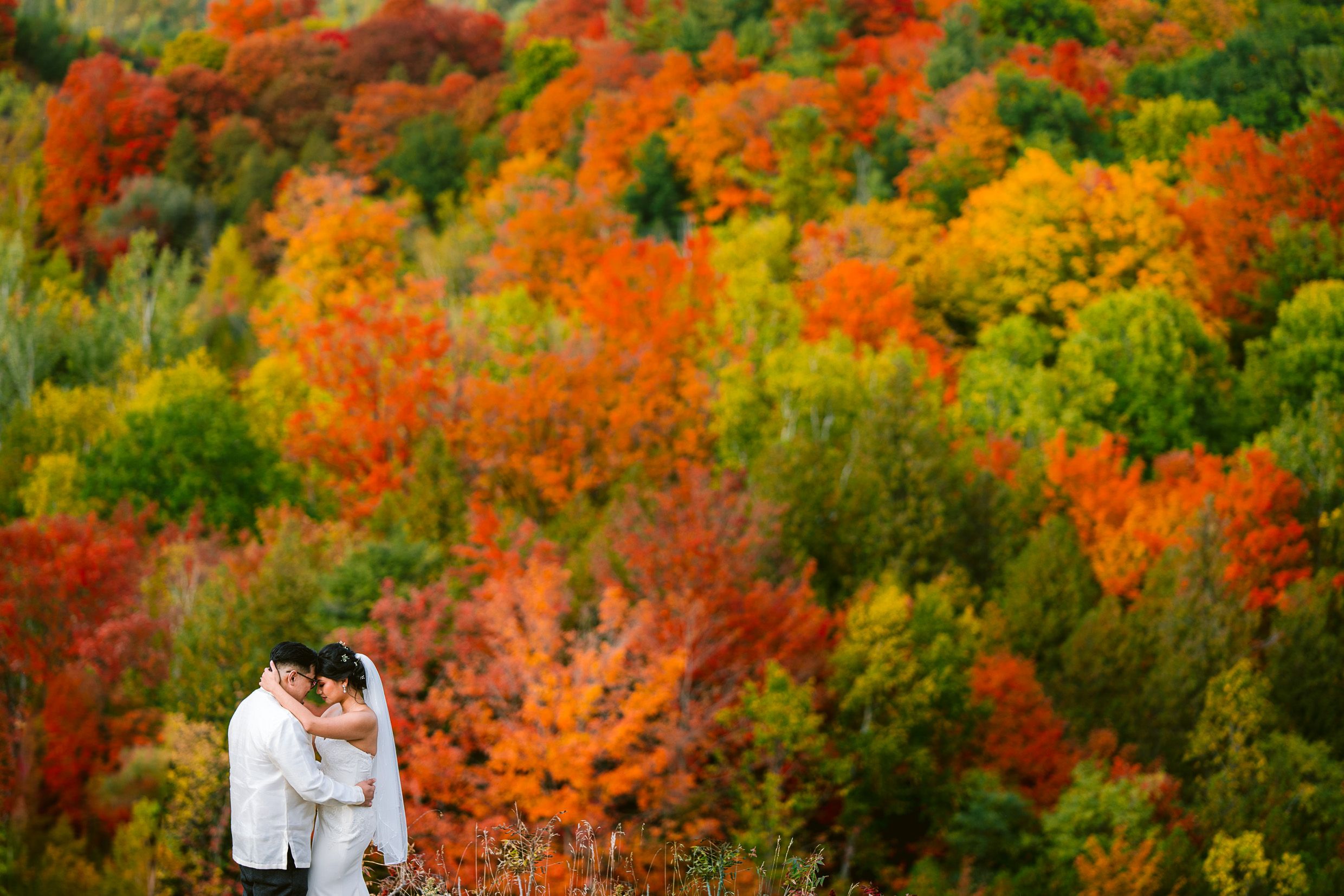 A romantic scene against vibrant autumn foliage in shades of orange and red.