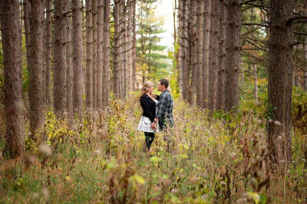 A recently engaged couple standing in a grove of tall pine trees at Sterns woods in Crystal Lake, IL.