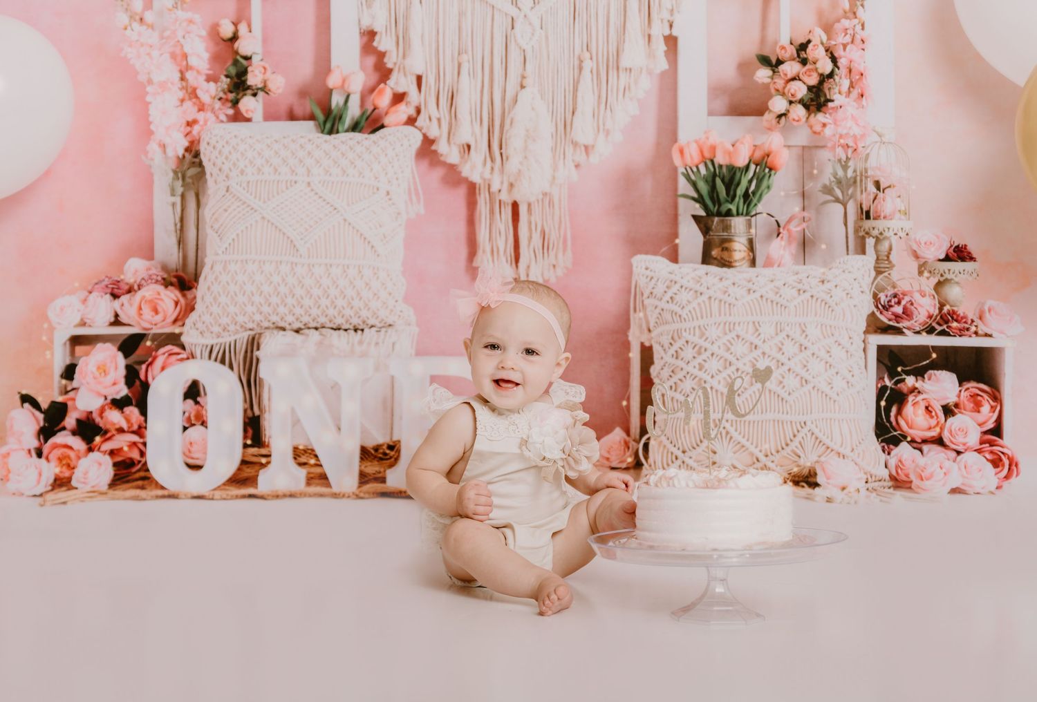 childrens photographer downriver Michigan Rockwood 48173 48183 cake smash first birthday