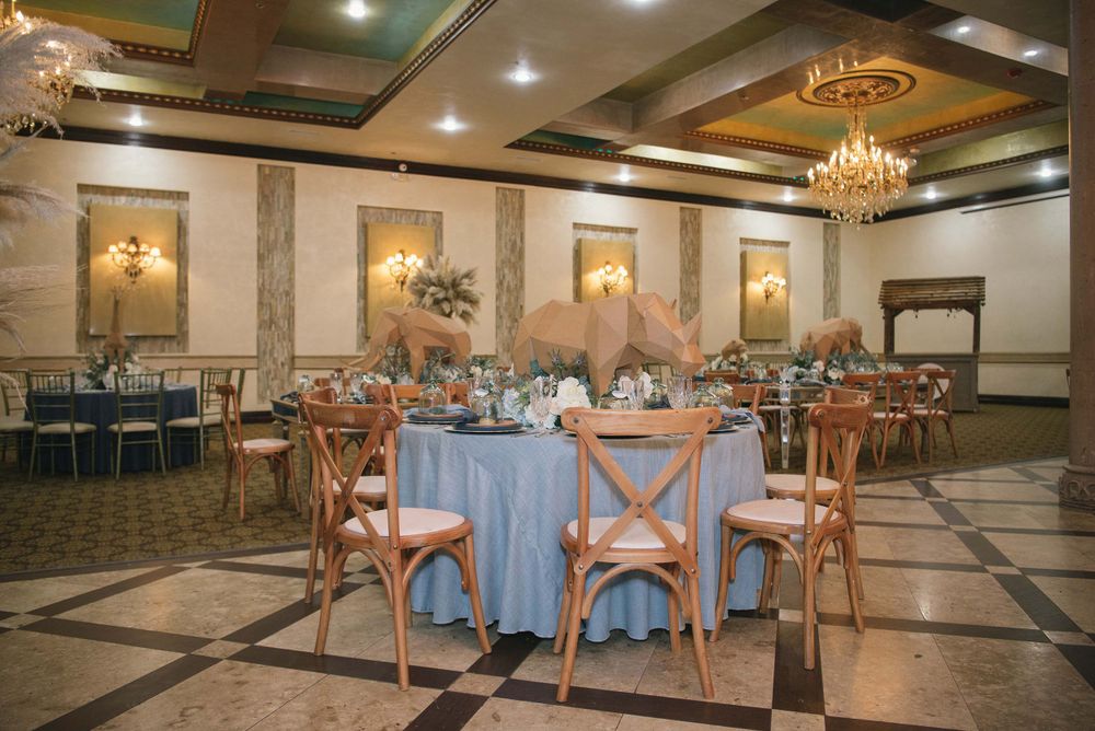 table decoration with animals. venue. baby shower. Corinthian Event Center. Mission, Texas. Wedding photographer
