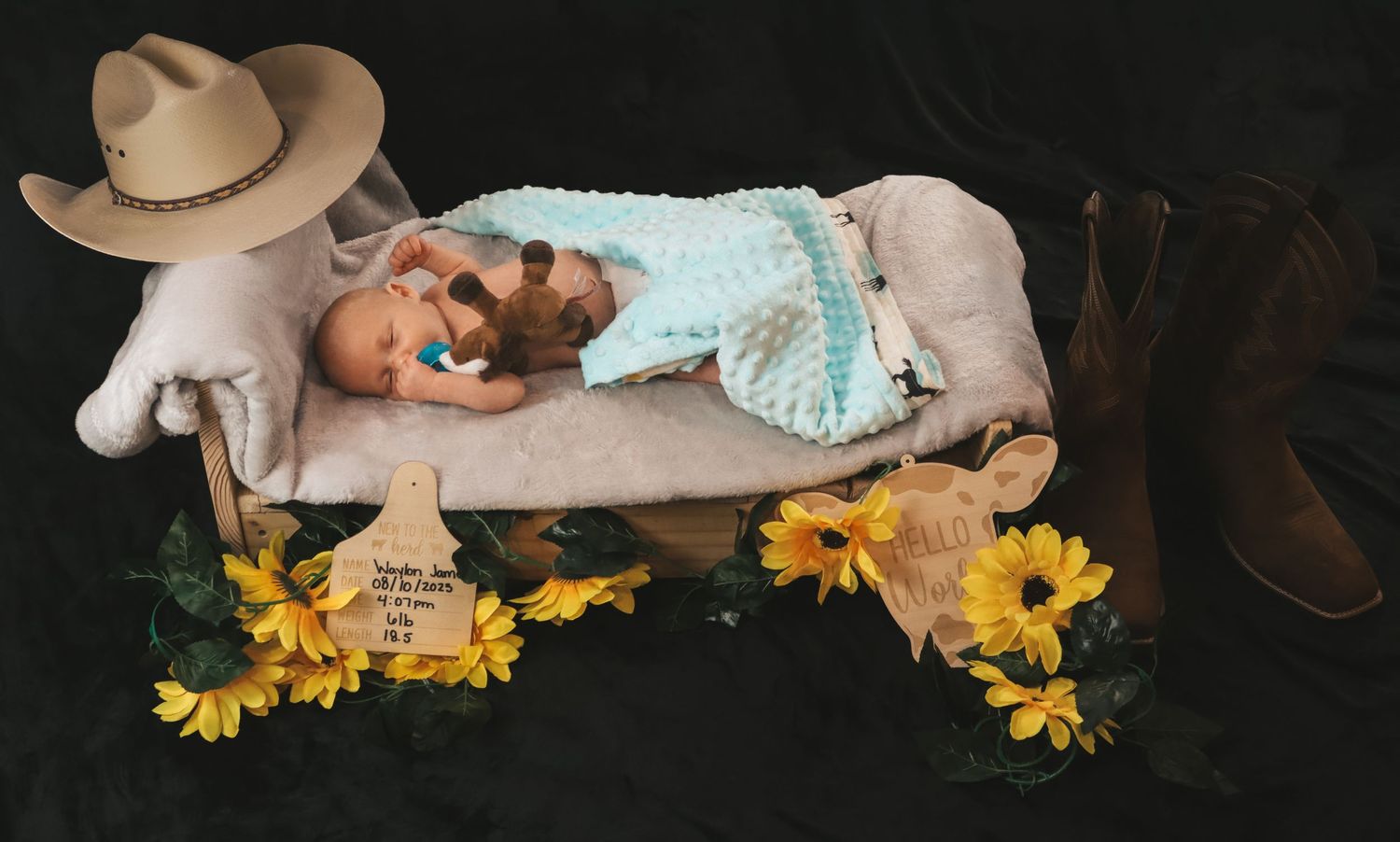 newborn
