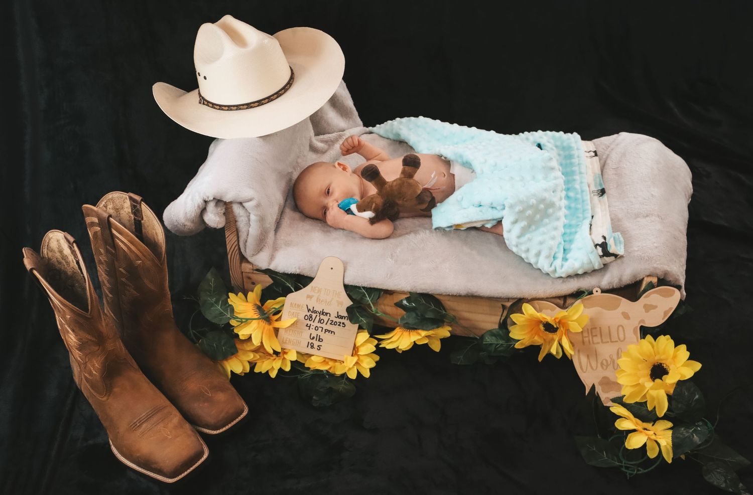 newborn