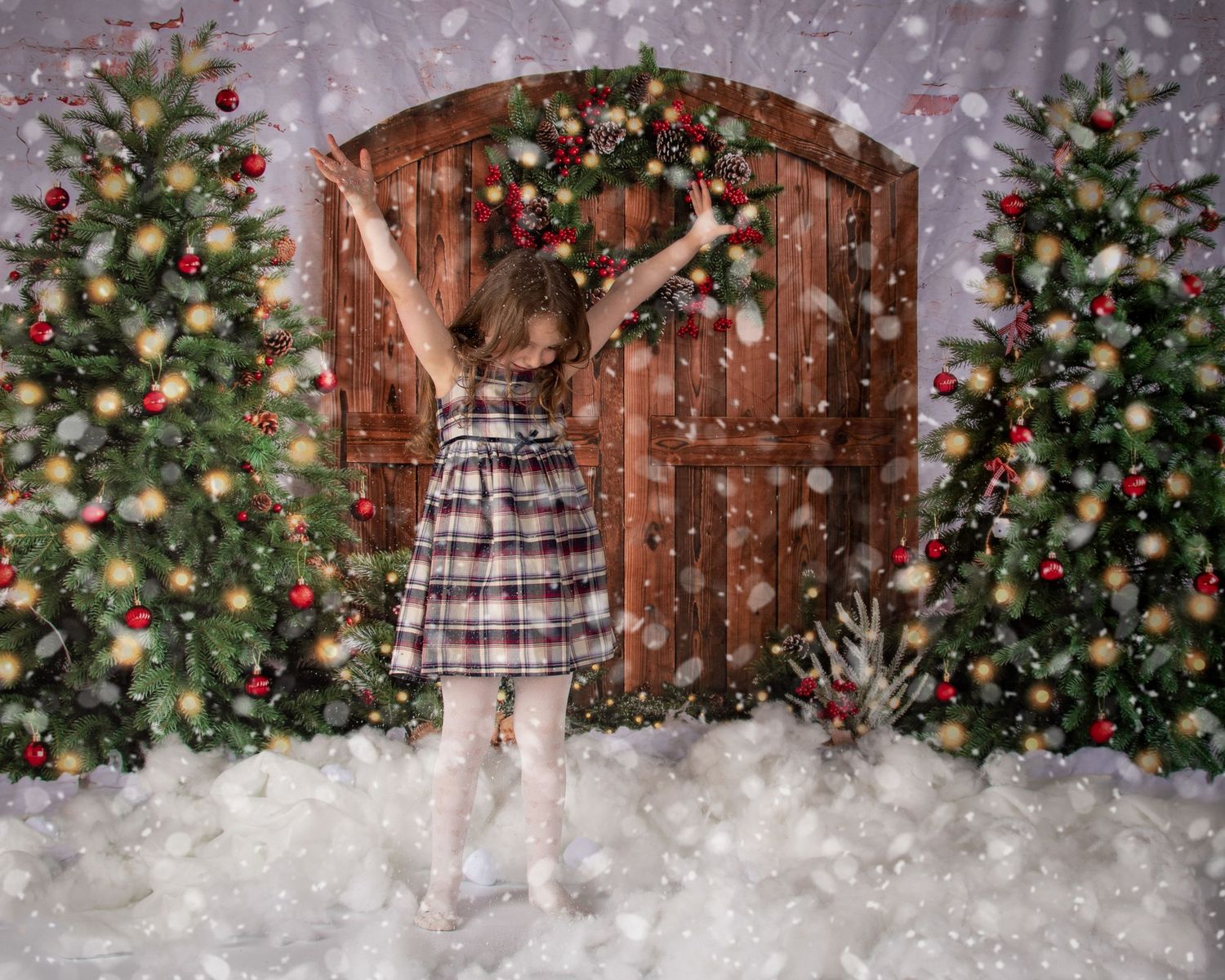 Christmas Mini