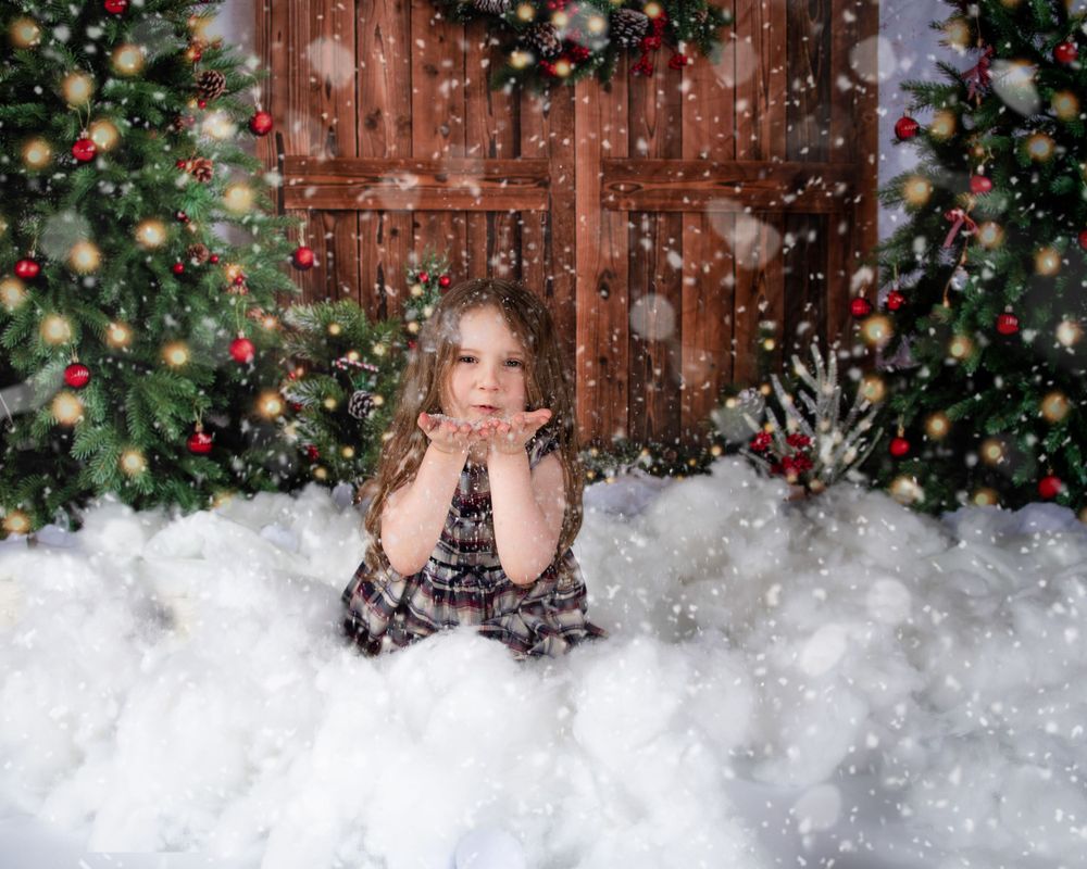 Christmas Mini