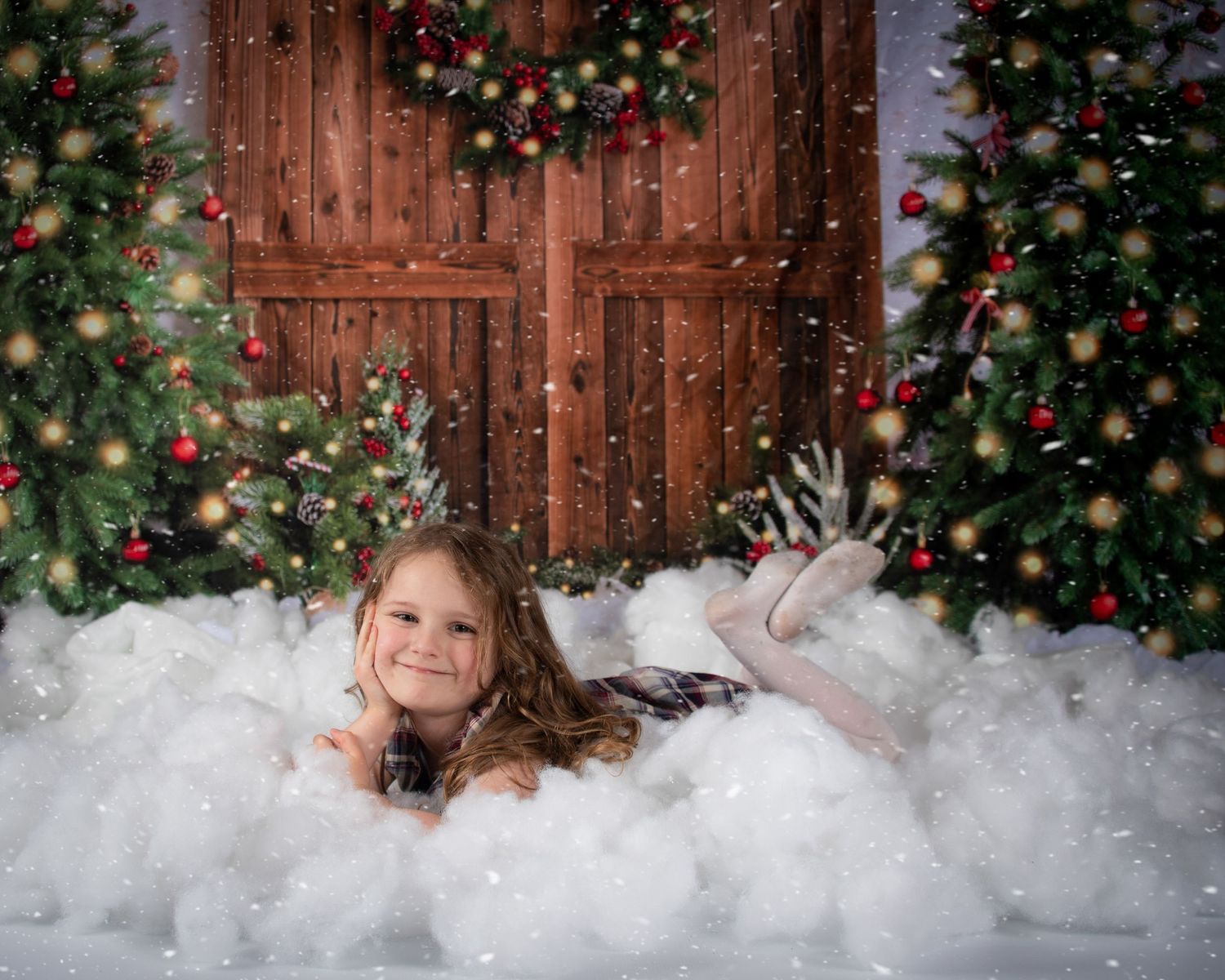 Christmas Mini