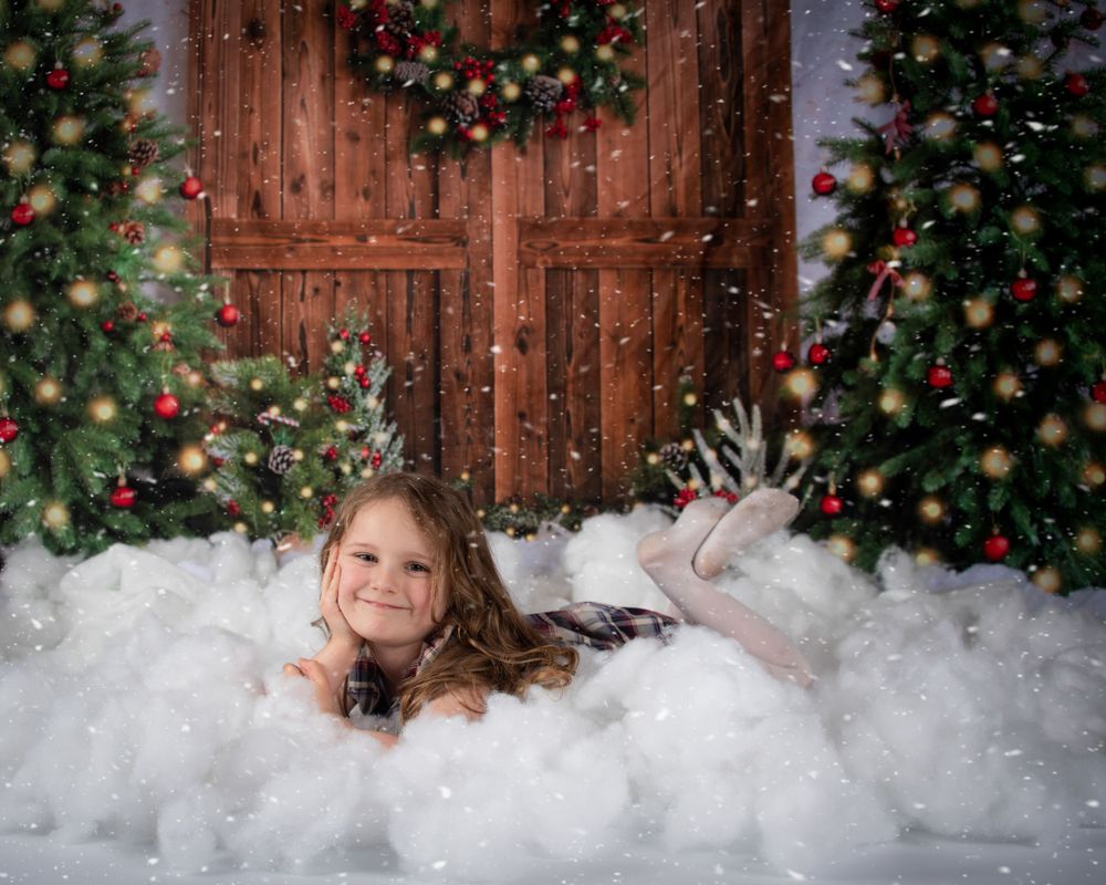 Christmas Mini