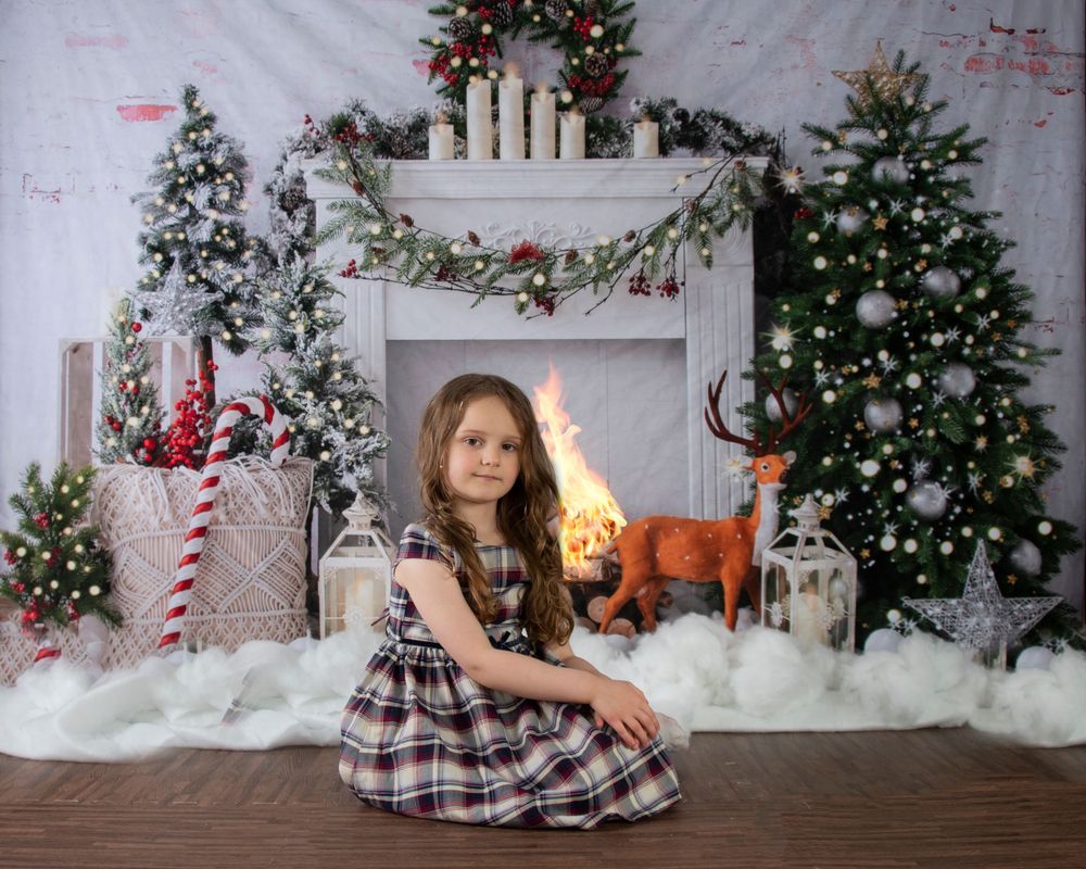Christmas Mini