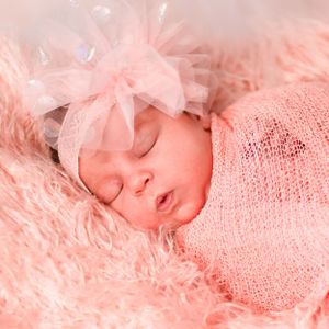 The E. Co studio/montrose, mi/newborn session