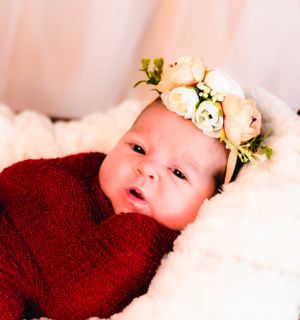 The E. Co studio/montrose, mi/newborn session