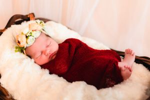 The E. Co studio/montrose, mi/newborn session