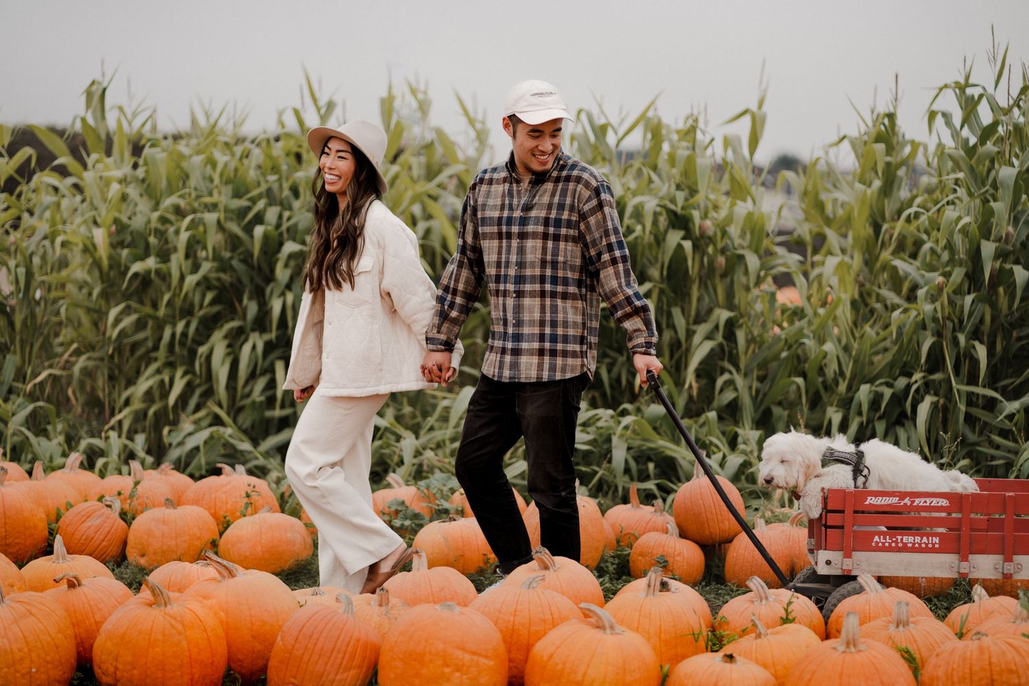 Holiday Pumpkin Patch Photoshoot in Bay Area, San Francisco California