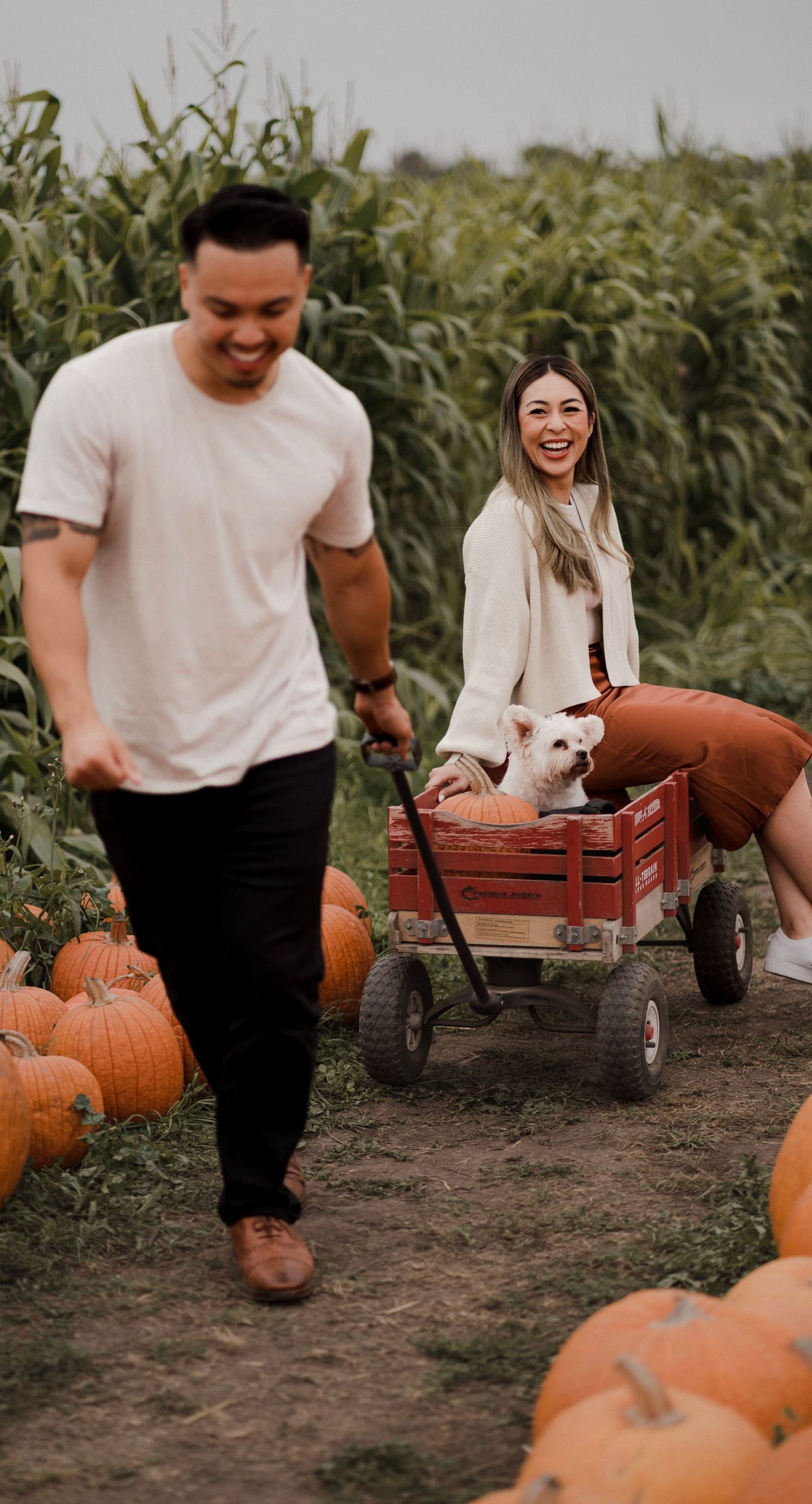 Holiday Pumpkin Patch Photoshoot in Bay Area, San Francisco California
