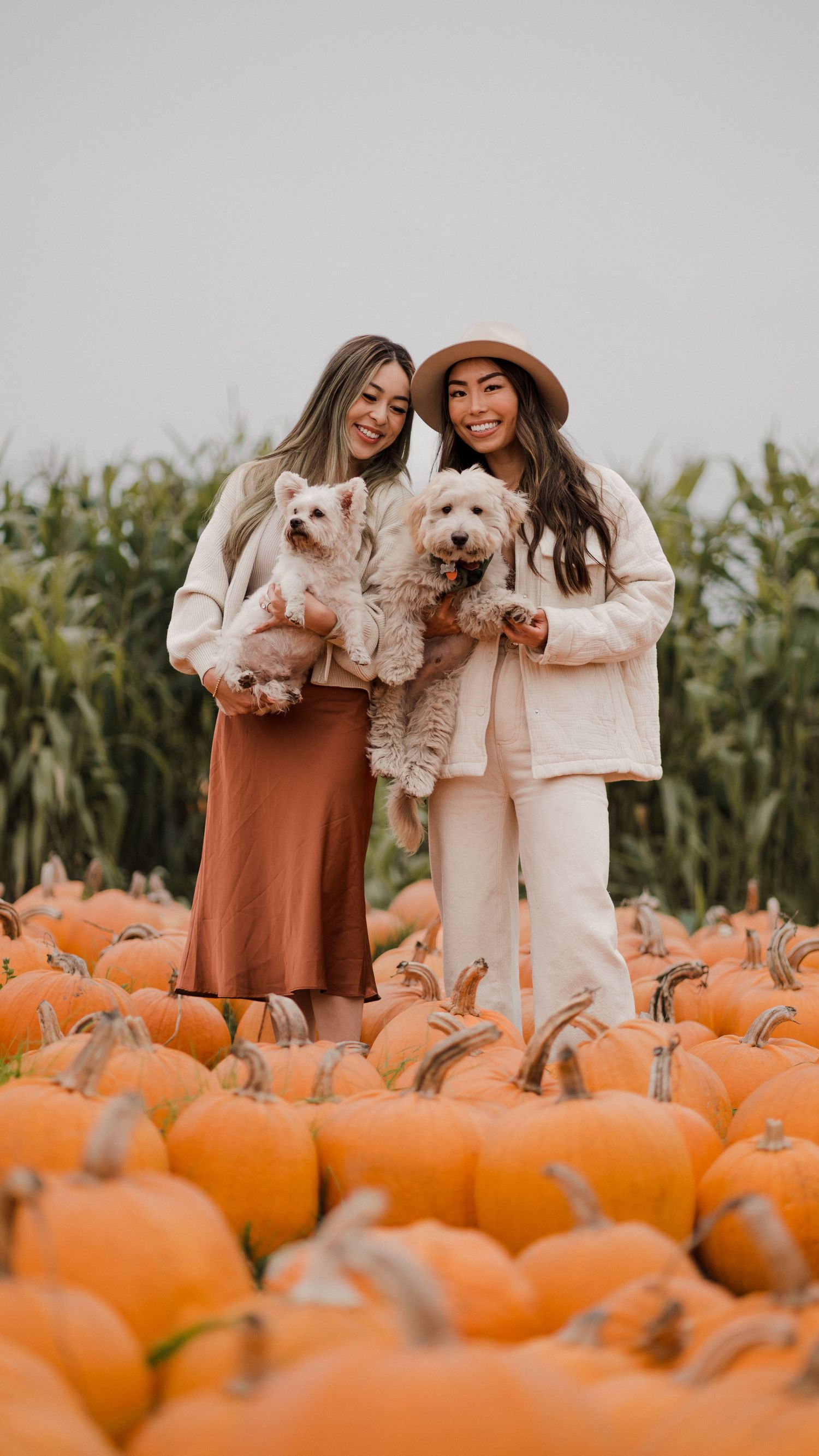 Holiday Pumpkin Patch Photoshoot in Bay Area, San Francisco California