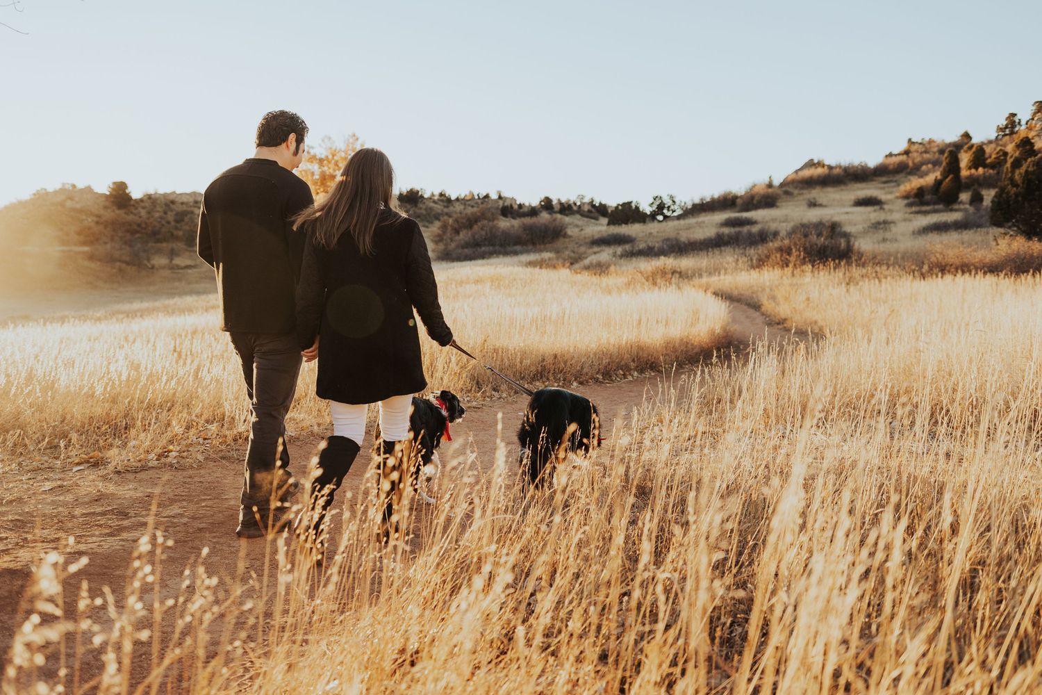 Couple walking at sunrise with dogs at Garden of the Gods