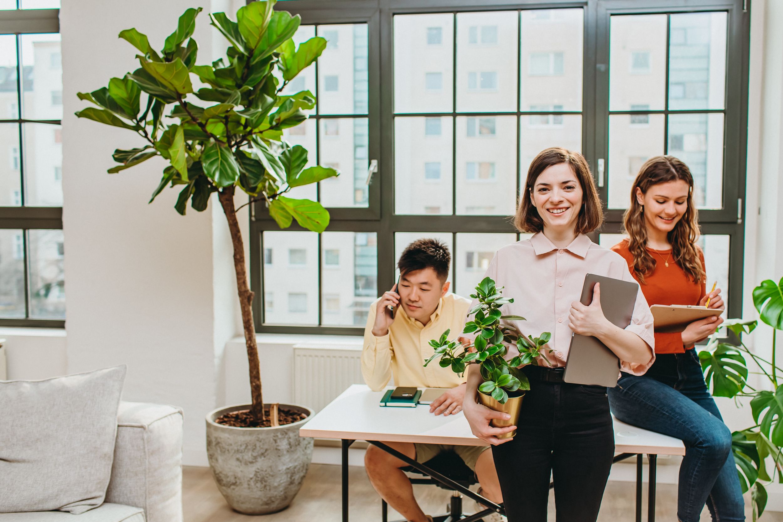 Bright modern office space with large windows and potted plants creating a welcoming work environment.