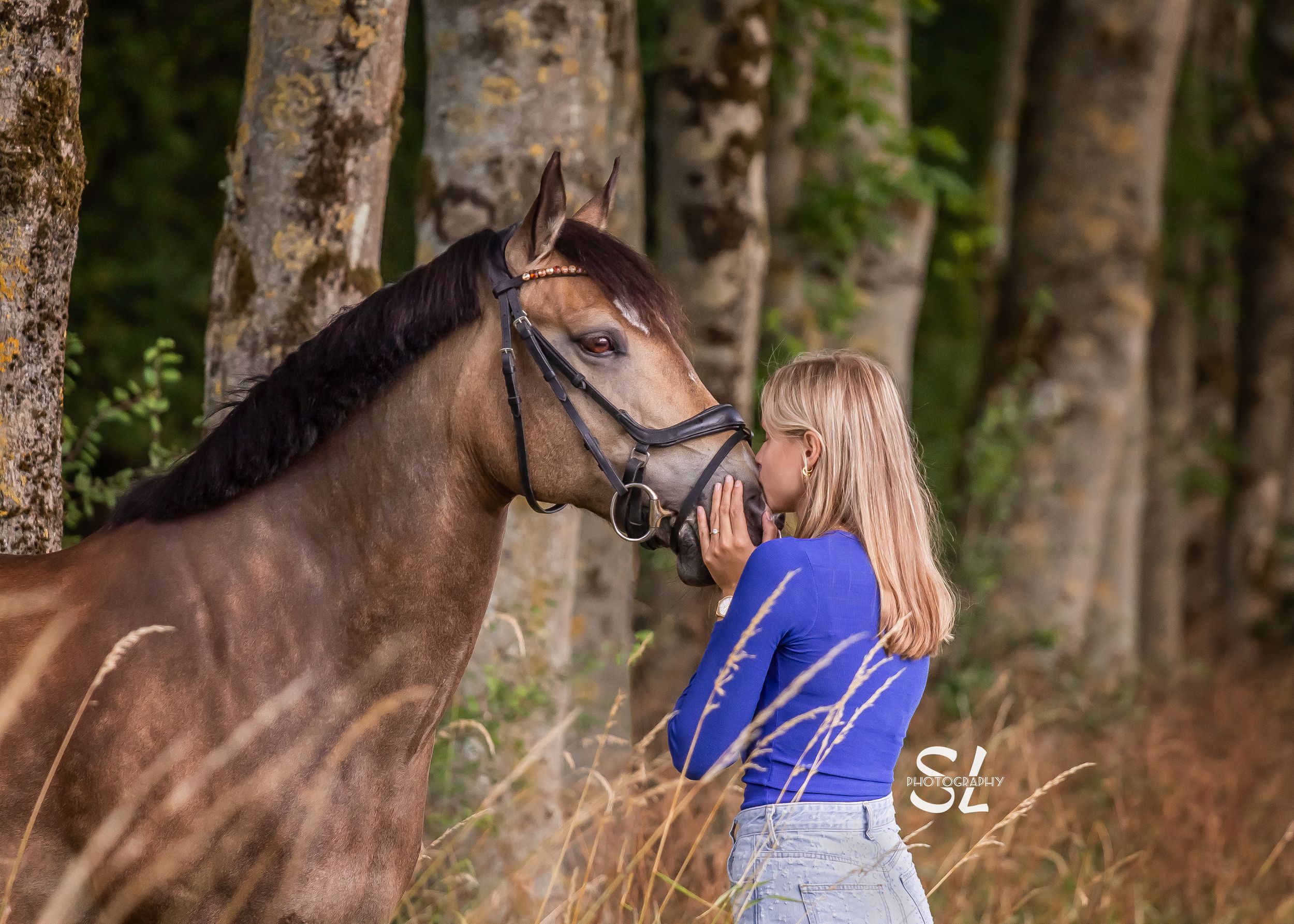 paardenfotograaf, horsephotographer