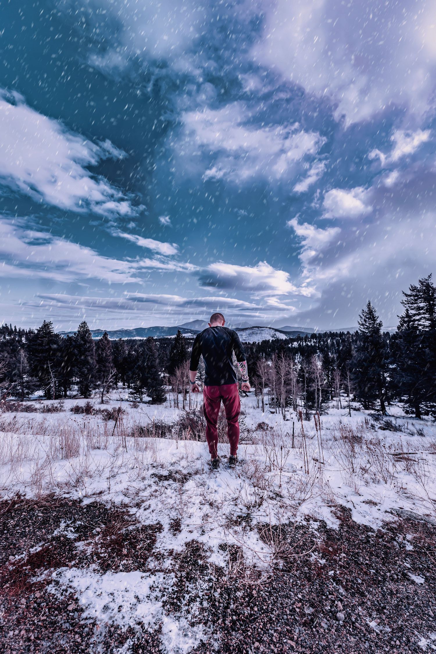 Person in red pants standing on snowy hill overlooking winter forest landscape with dramatic cloudy sky.