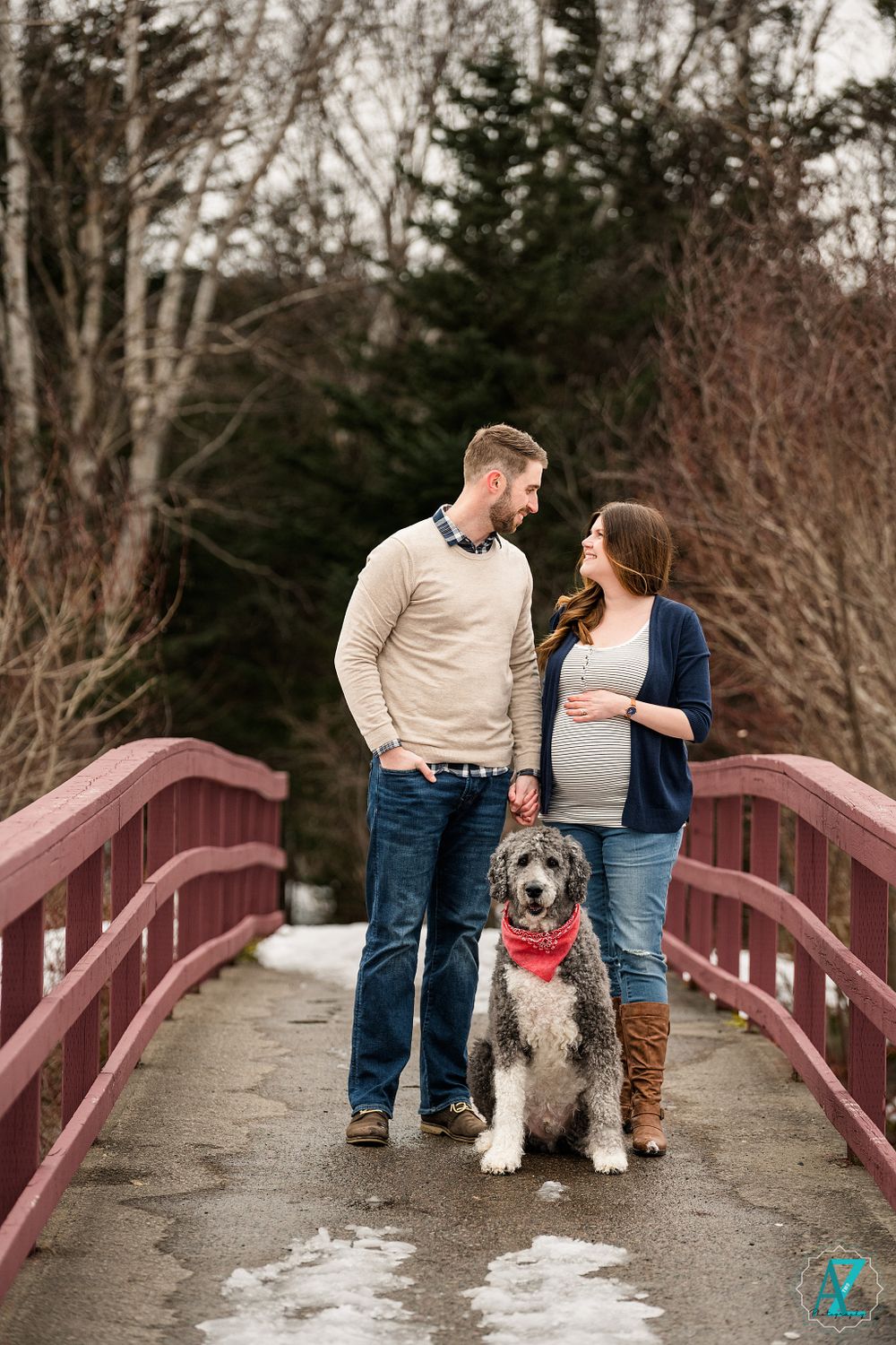 Couple shares intimate moment with their dog on red bridge during winter maternity session.