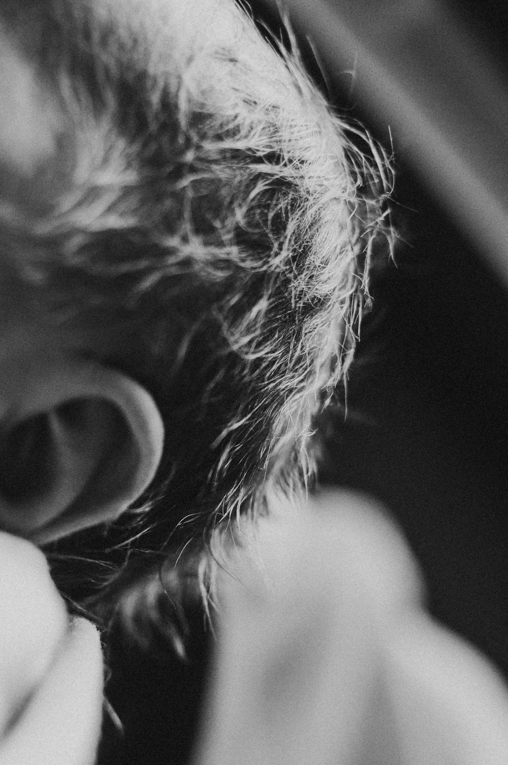 Newborn details captured during a fresh 48 session done at St. Alexius Hospital in Dickinson, North Dakota
