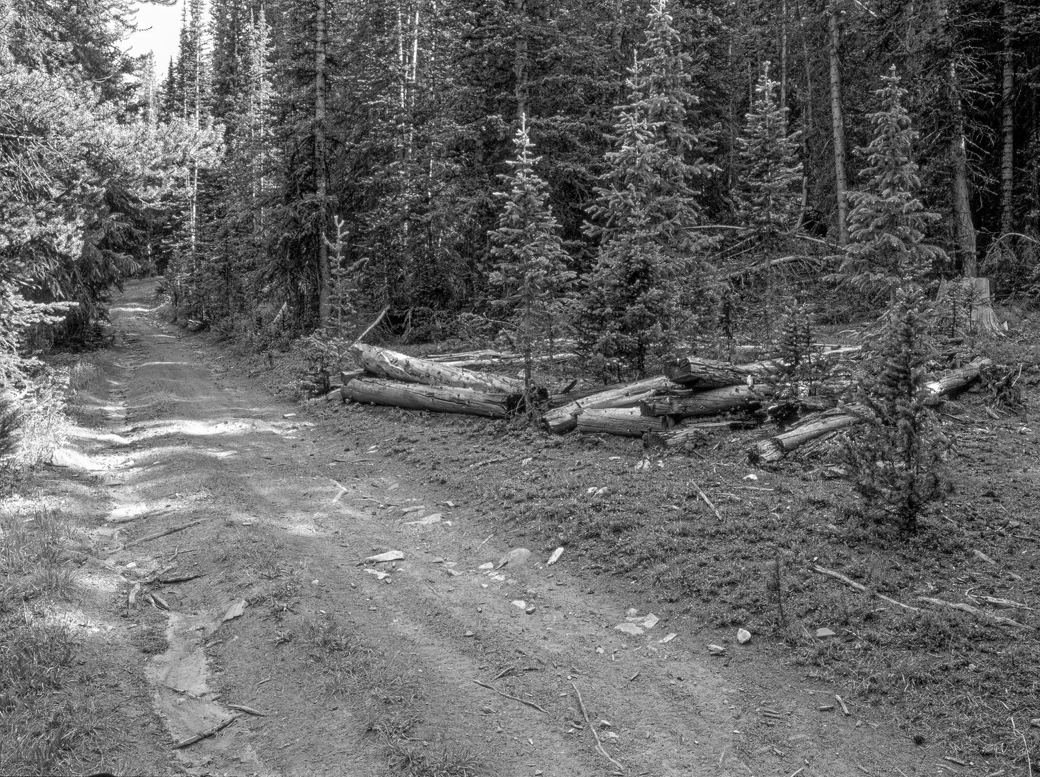Conger's Camp, Colorado