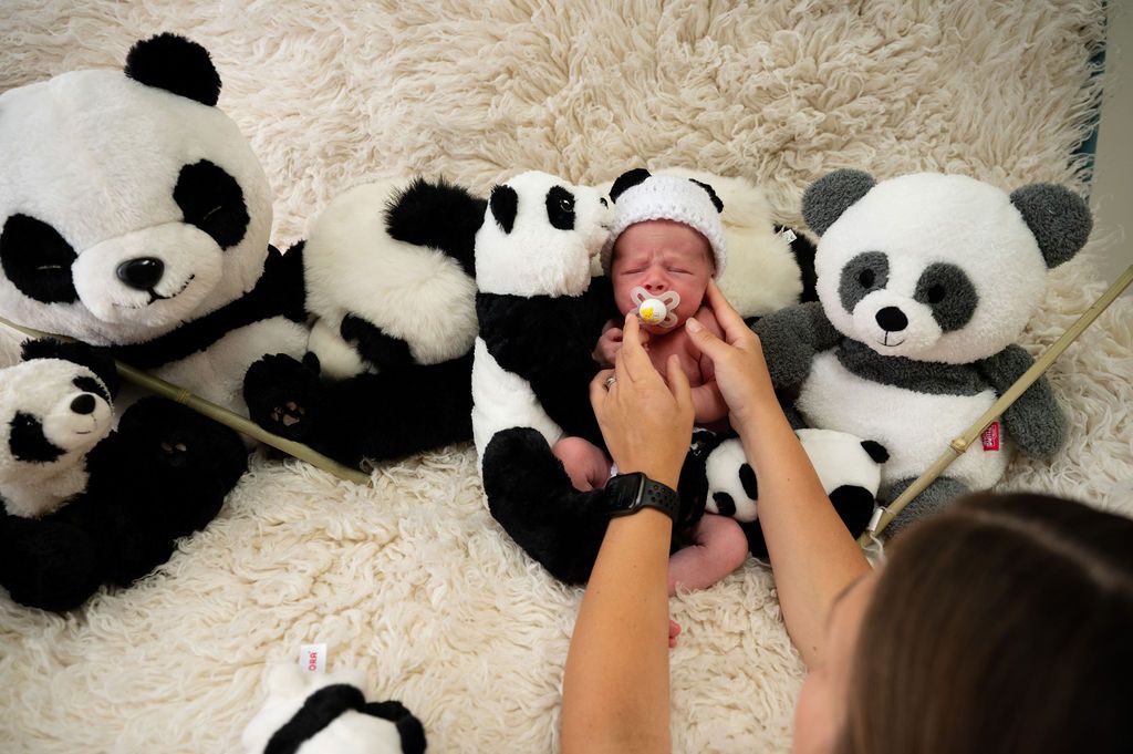 Newborn photo session with stuffed panda bears arranged on fluffy white rug.