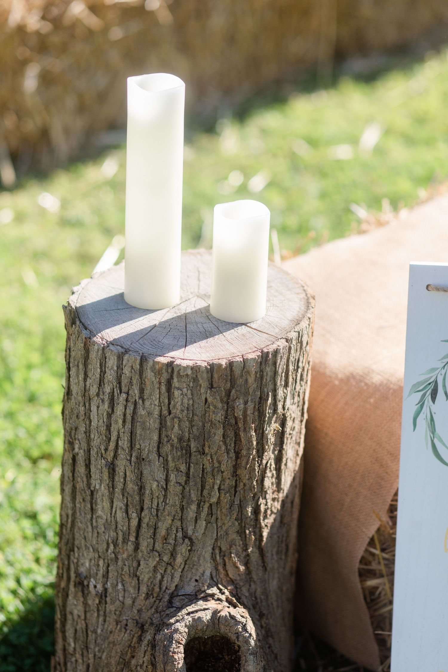 Rustic wood stumps used as wedding decor displays in an outdoor setting.
