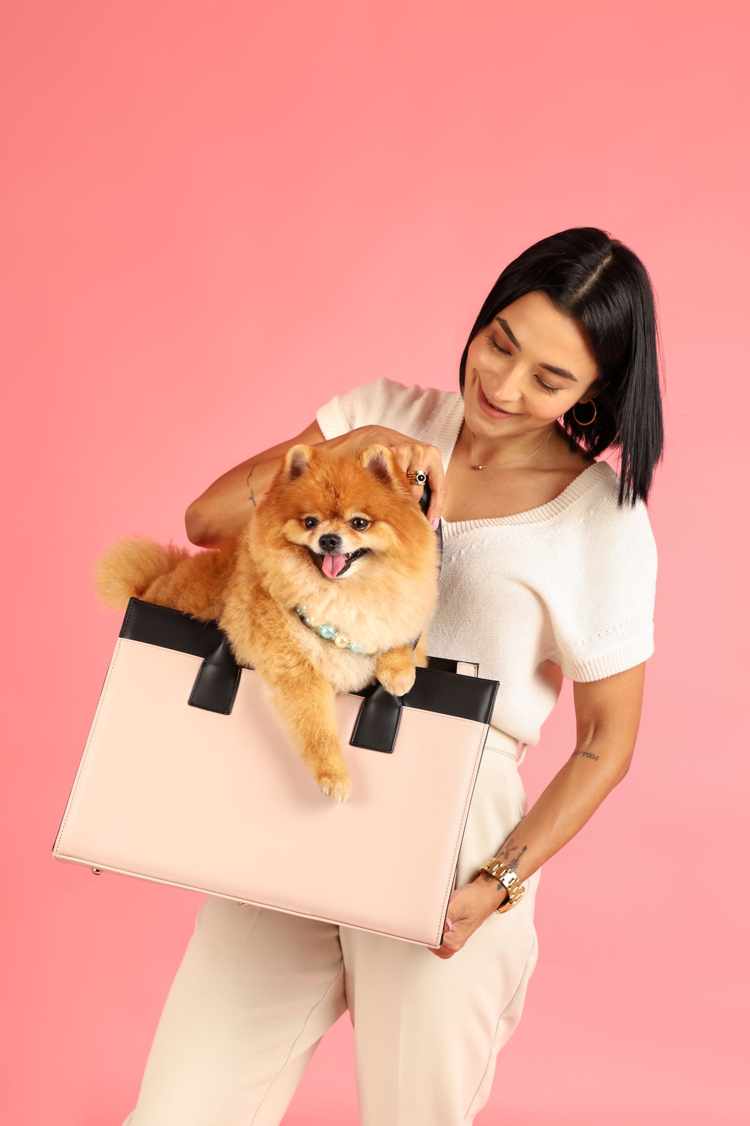 sesiones para perros