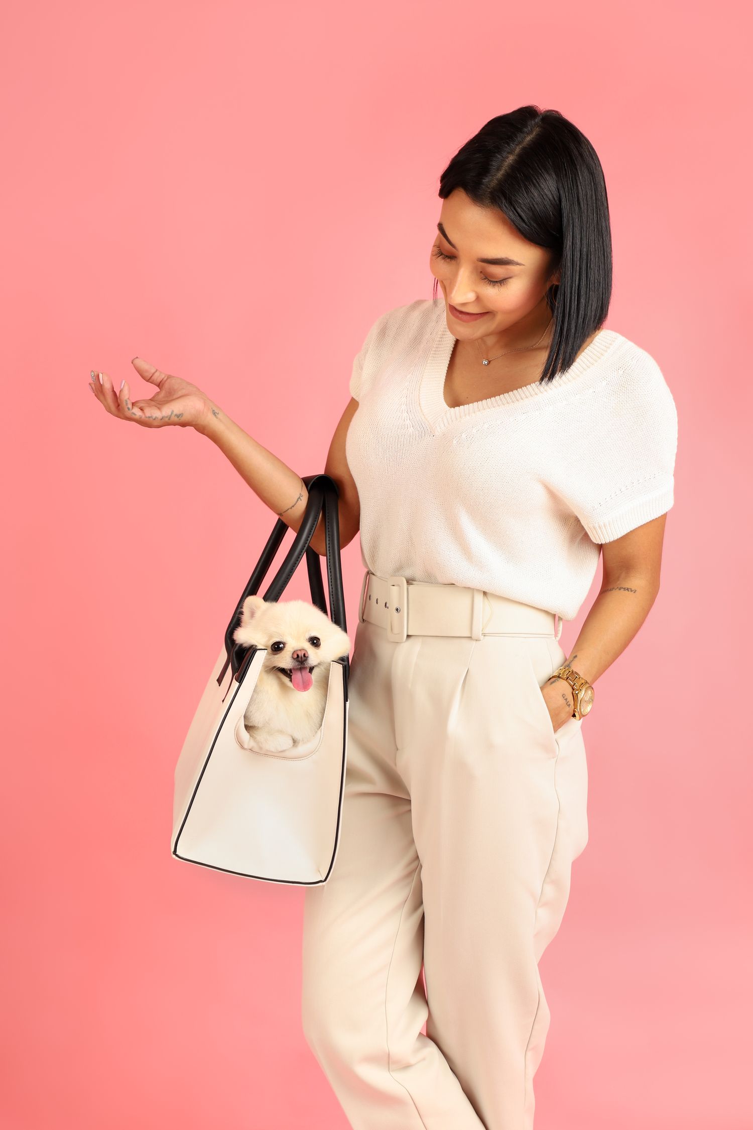 fotografia-canina