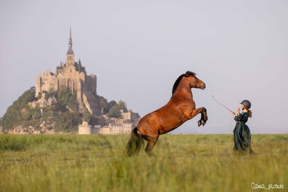Photographe animalière