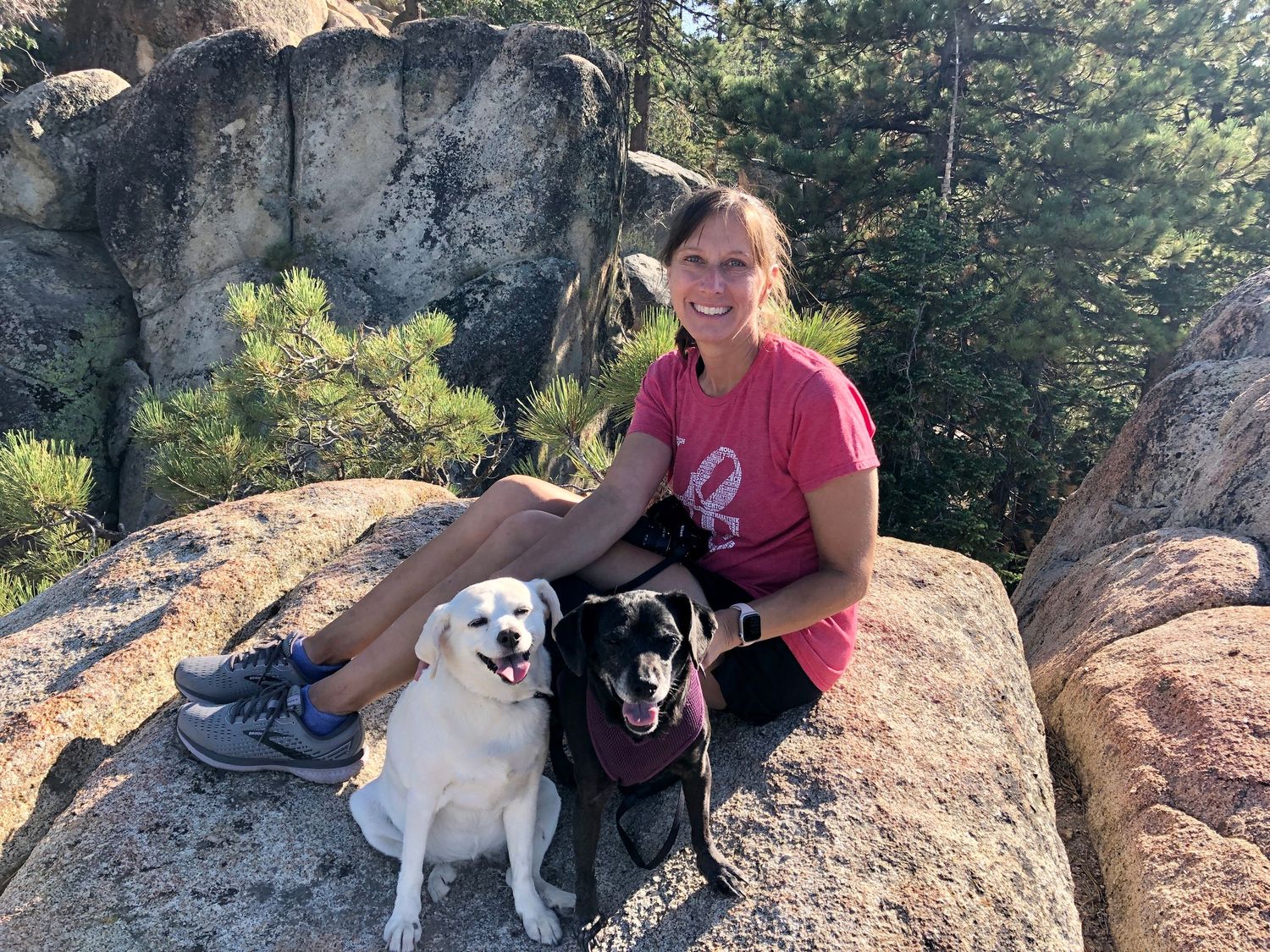 Person hiking with two dogs on rocky mountain overlook during outdoor adventure.