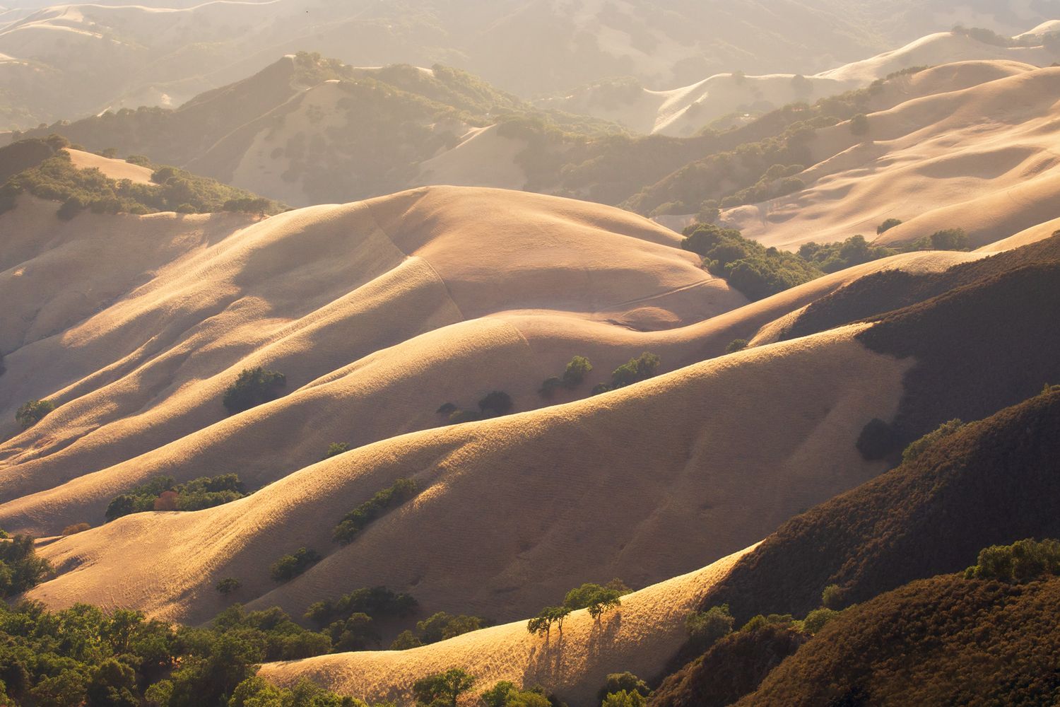 Golden sunlight illuminates rolling hills and valleys in a scenic California landscape during sunset.