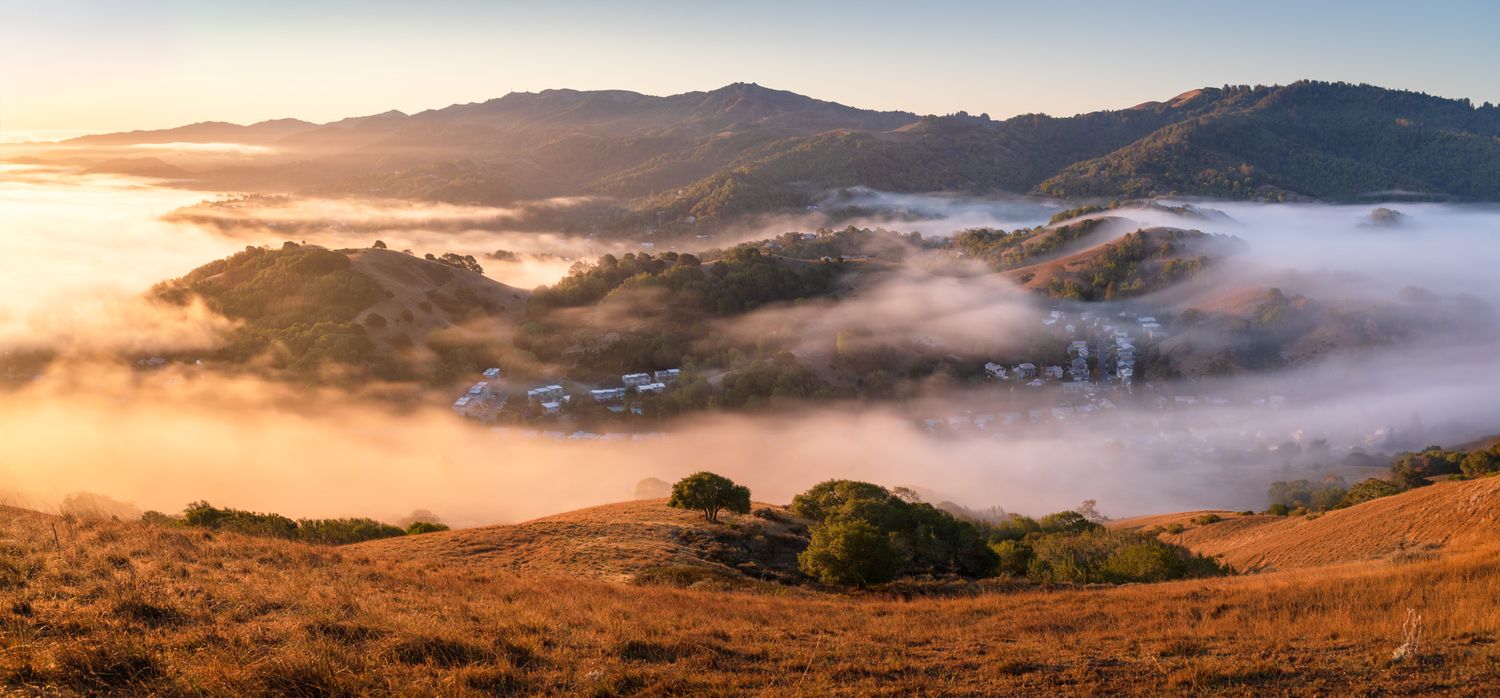Rolling California hills covered in golden grass with morning fog settling in valleys during a dramatic sunrise.