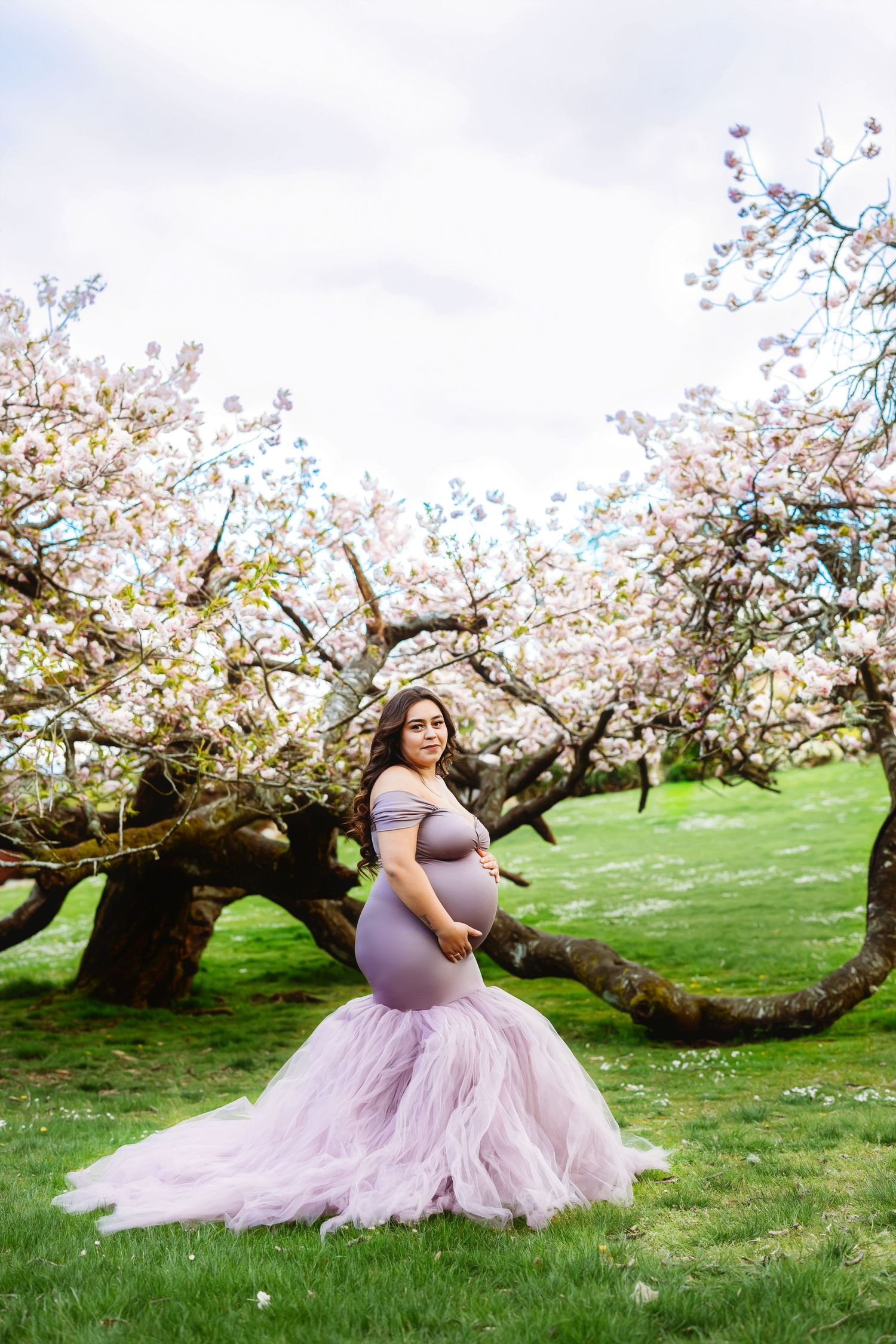 purple maternity gown under cherry blossom tree at Point Defiance Park in Tacoma