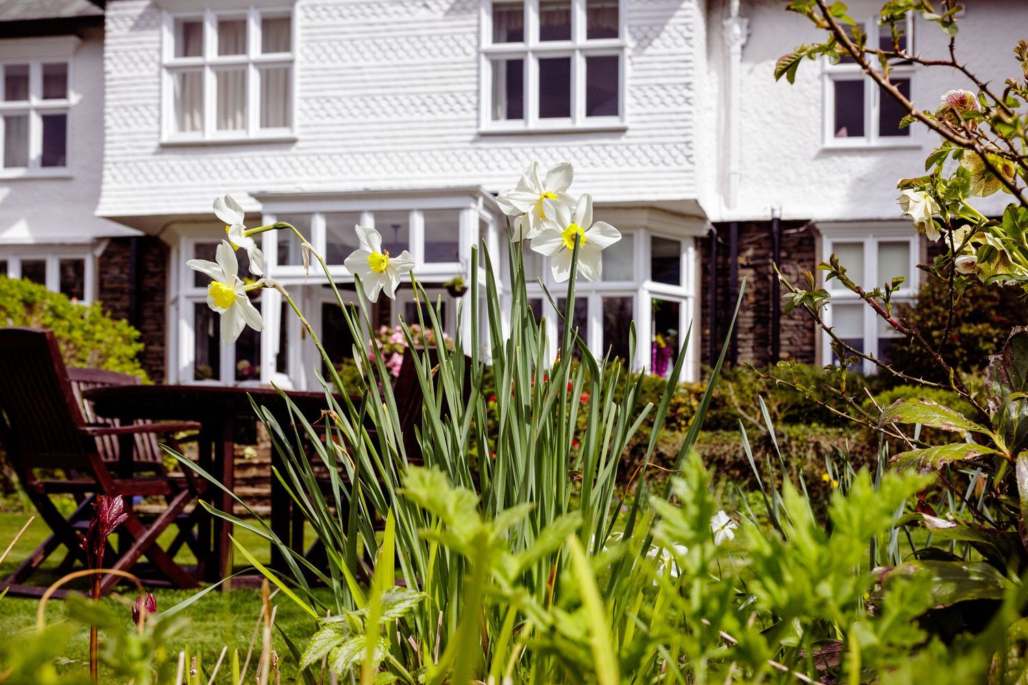 White English townhouse exterior with blooming daffodils and garden furniture in spring.
